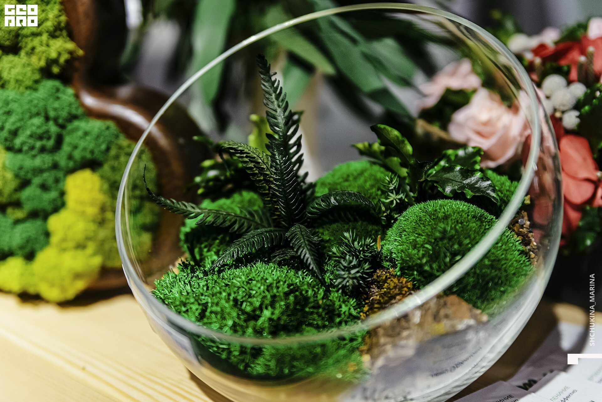  31.10.2019 цвет-145.jpg