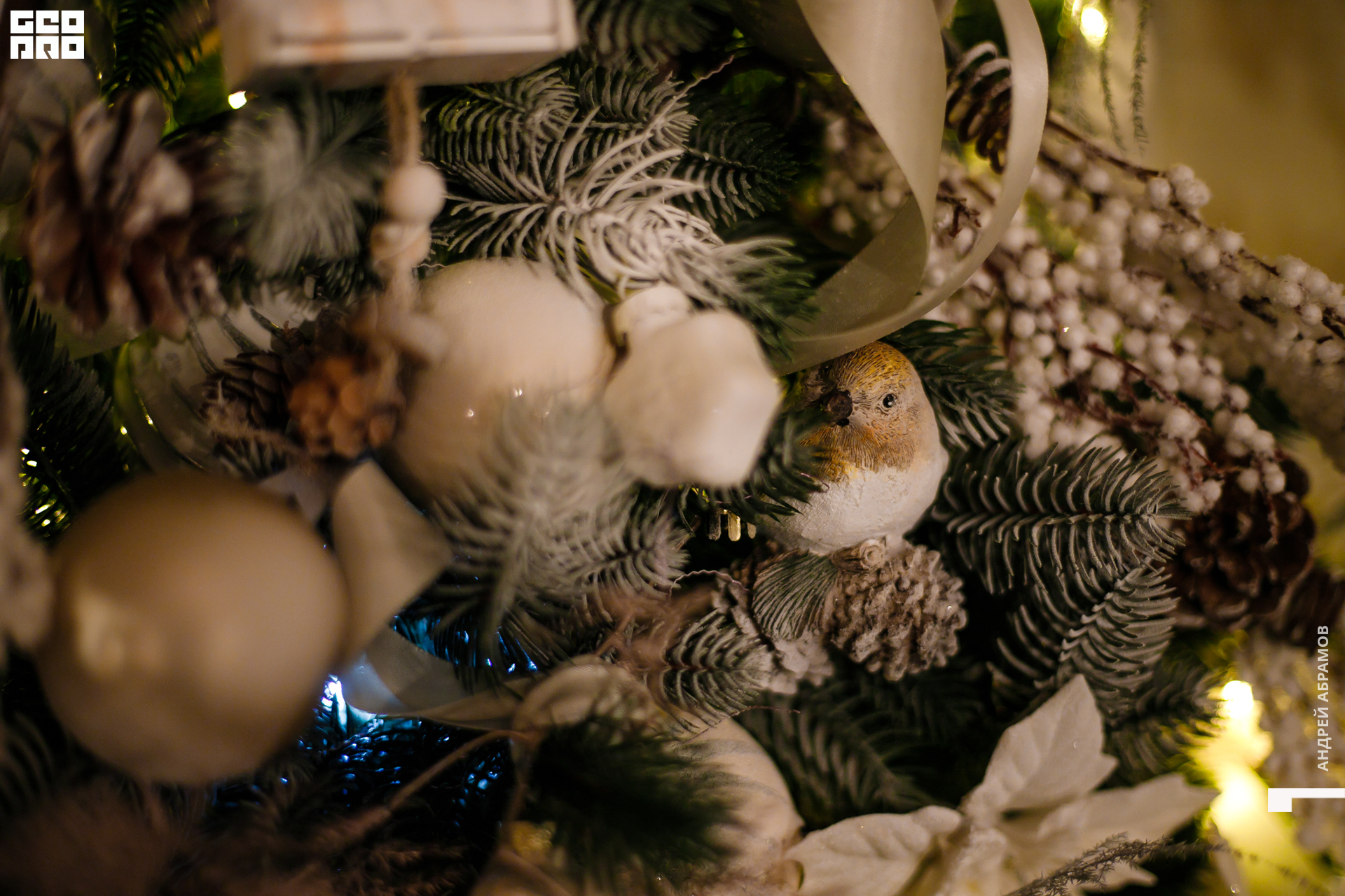 051219 Гастроужин Птичка Абрамов  0084.jpg