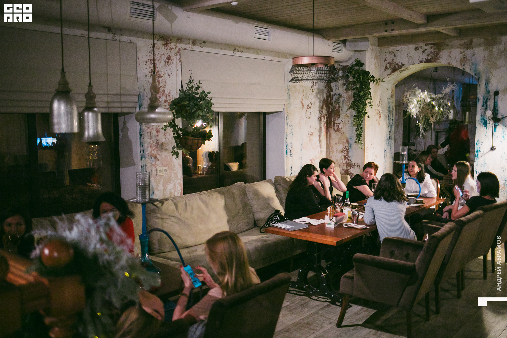 131219 Птичка и 5561 Абрамов для загрузки  0093.jpg