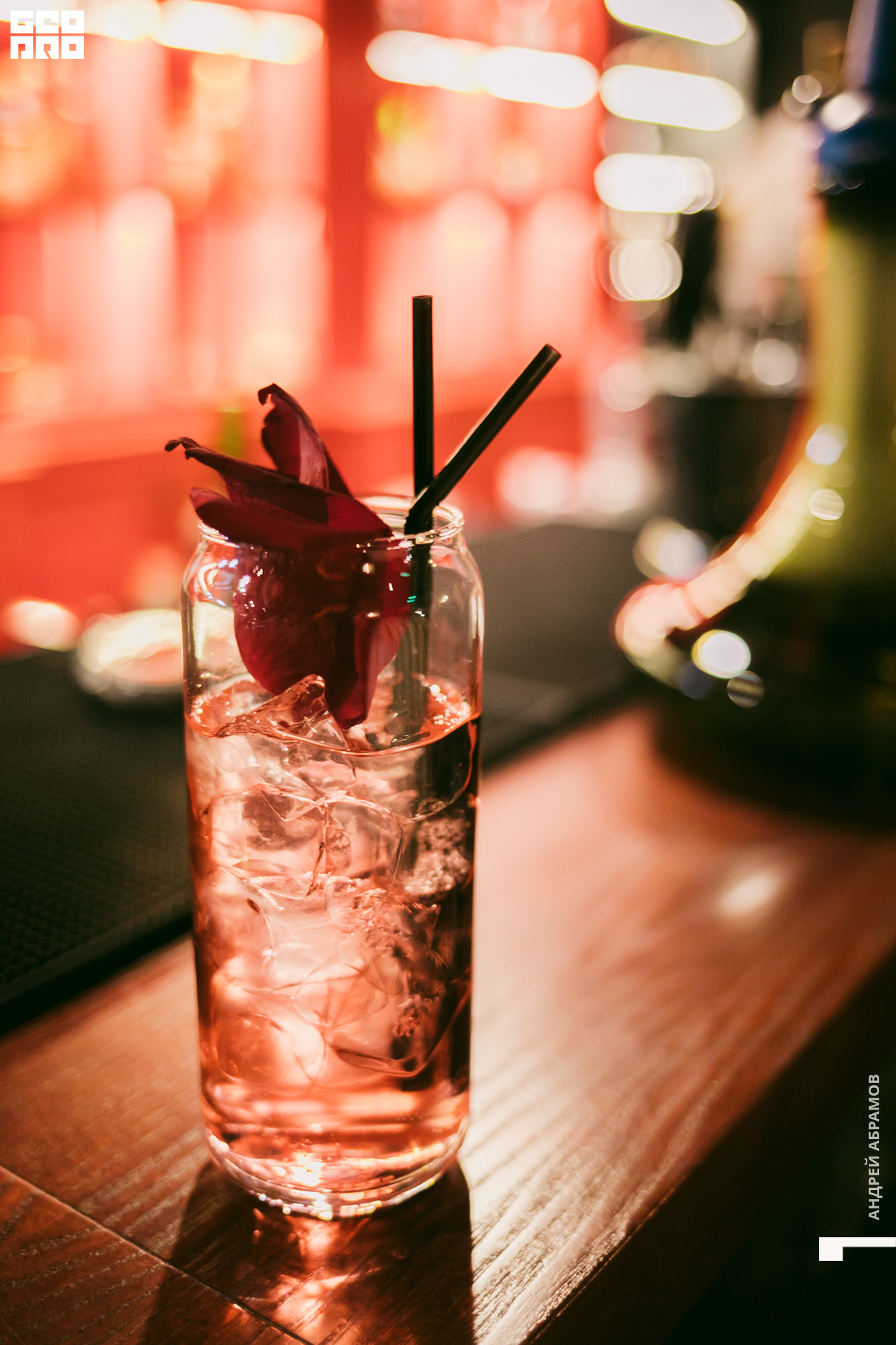 081119 5561 Абрамов 0036.jpg