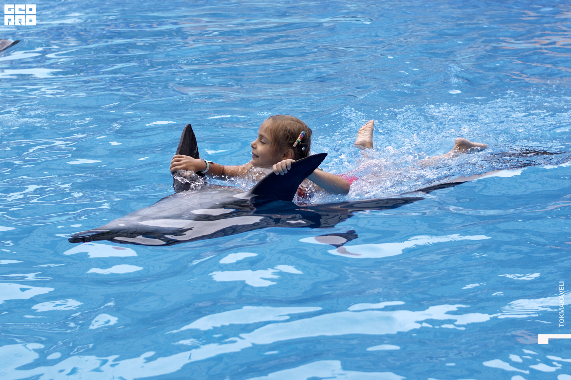 tokmakaveli 1499.jpg