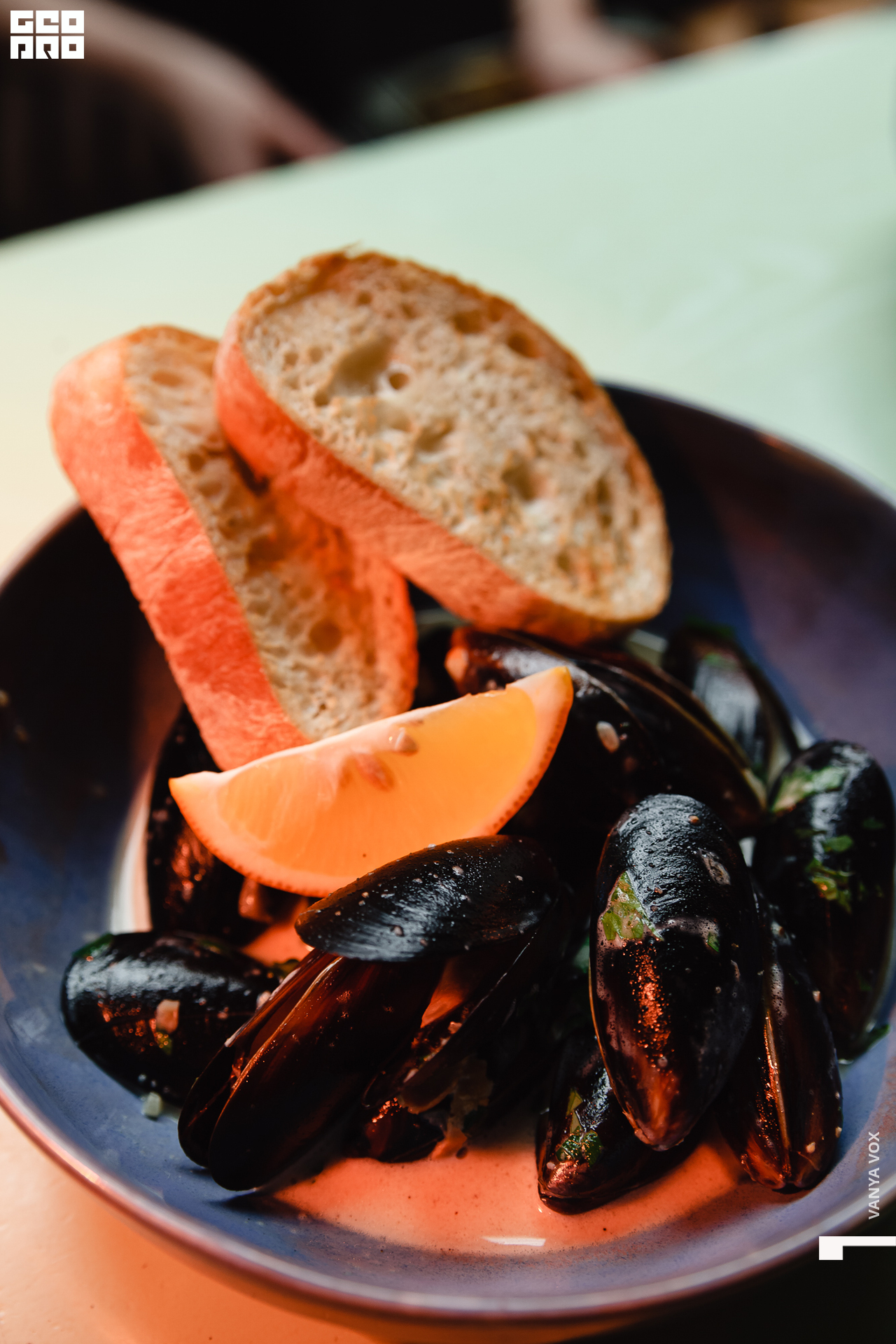 2020-02-14 18-45-00_vox_077.jpg