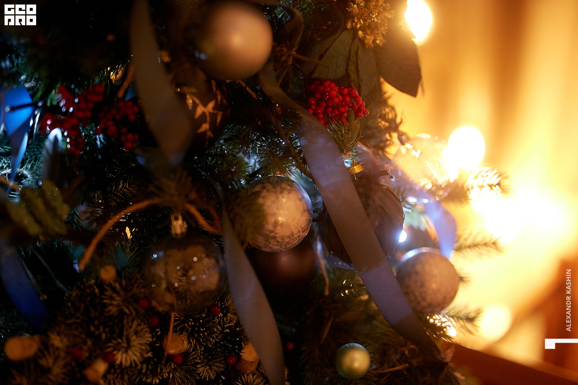 2020-01-03 20-00-00_Kashin_0050.jpg