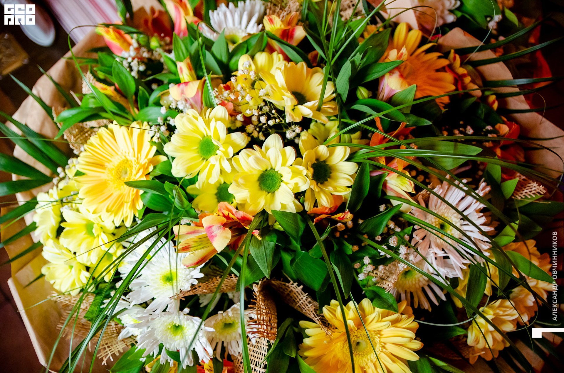 Фото 095 копия.jpg