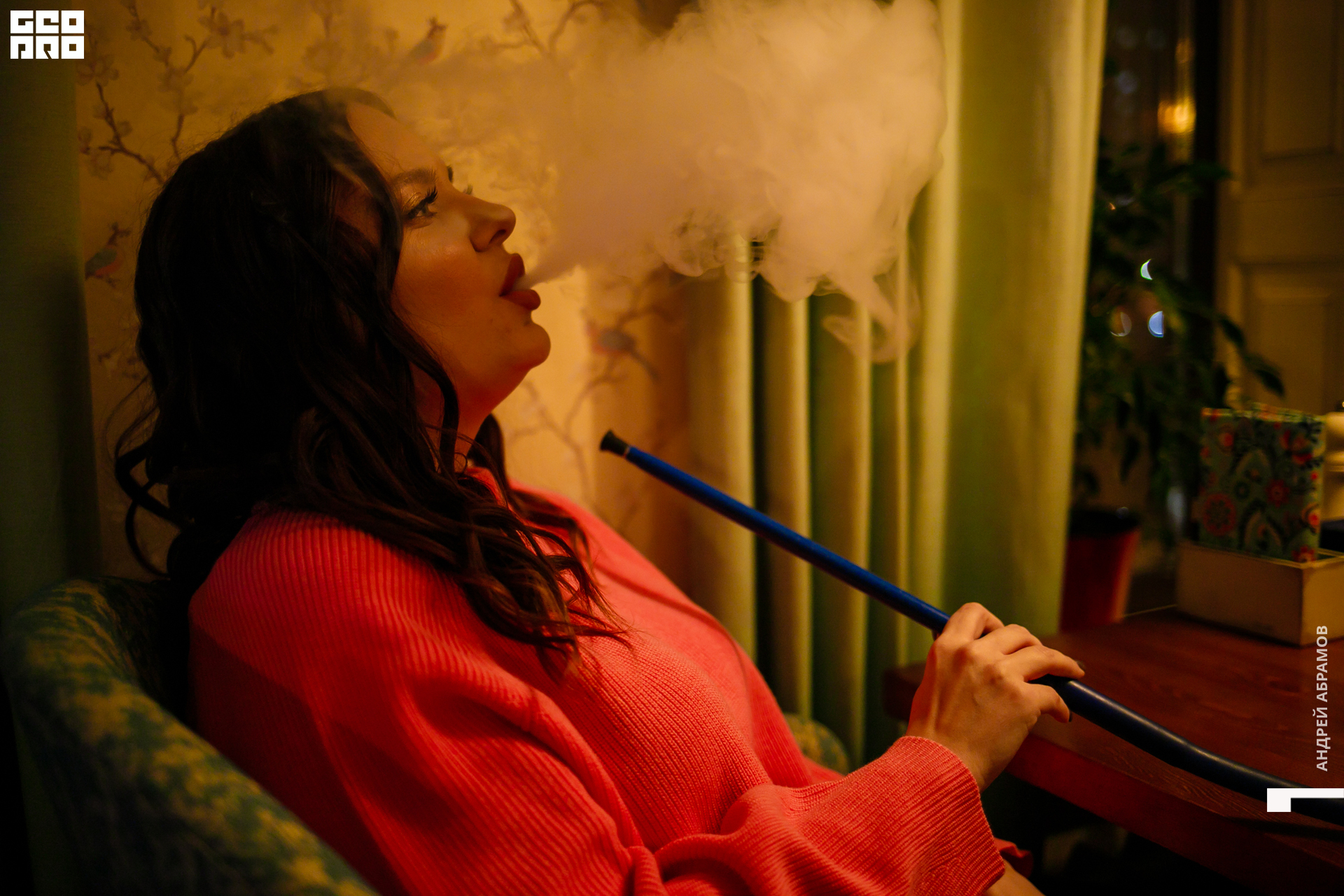 221119 Птичка Абрамов 0056.jpg