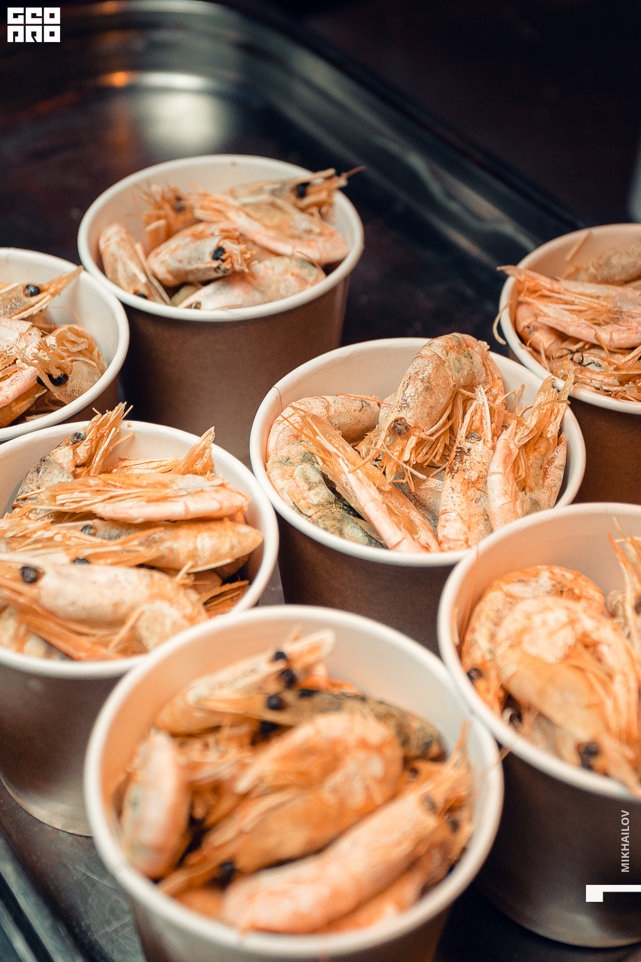 014-31-10-2020-13-48-Агонь - Михайлов - 1920.jpg