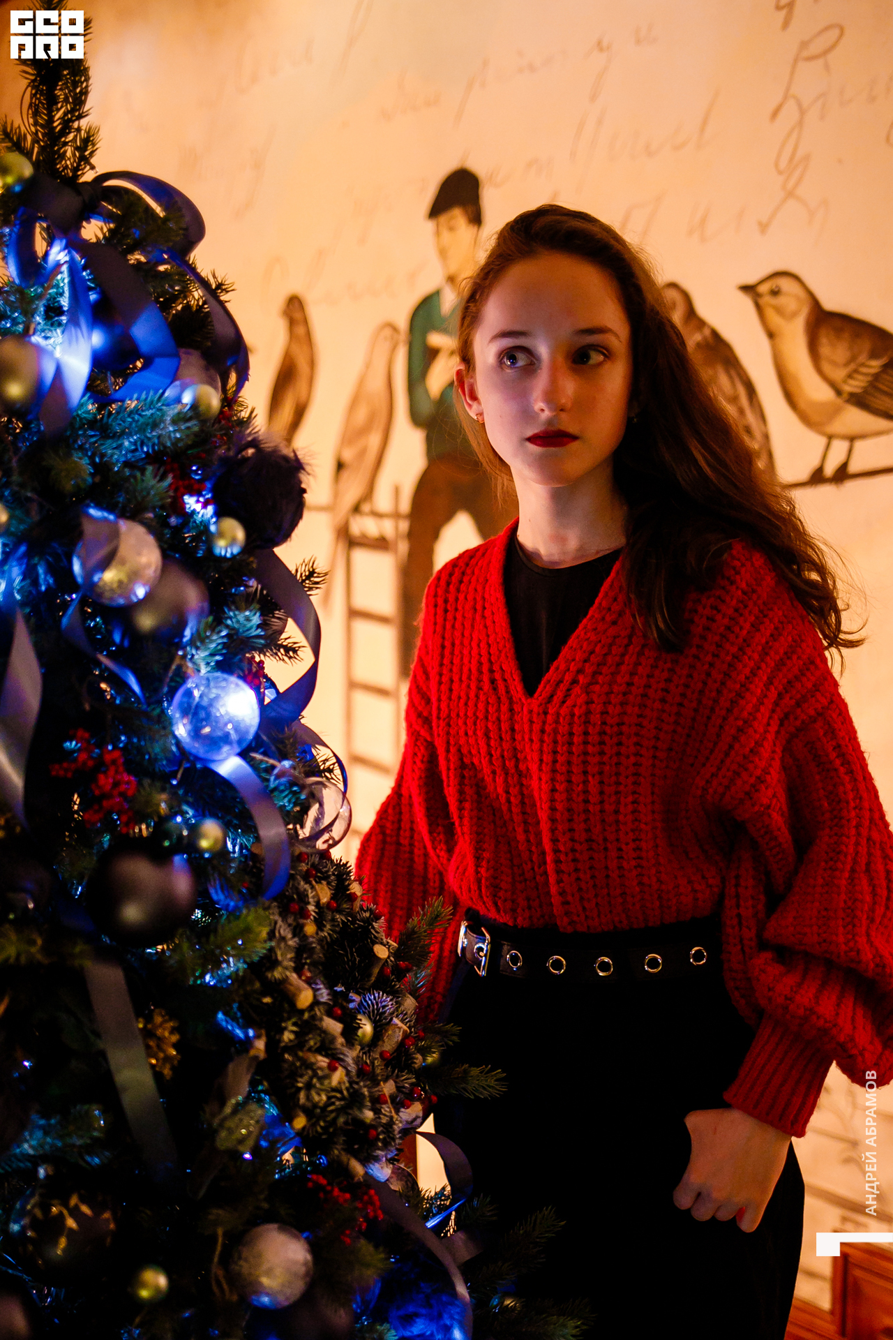 061219 Птичка Абрамов  0074.jpg