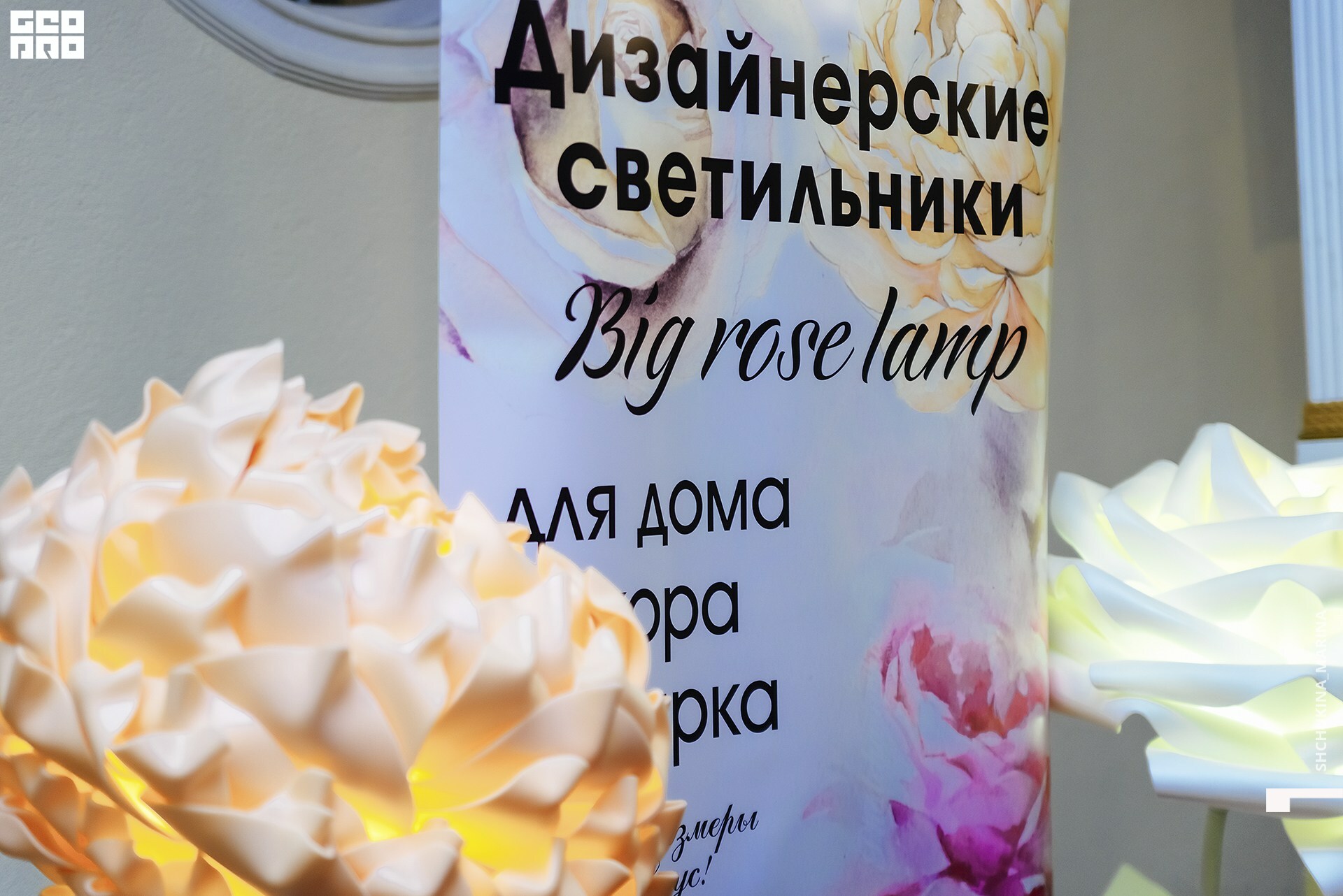 03.11.2019 цвет-232.jpg