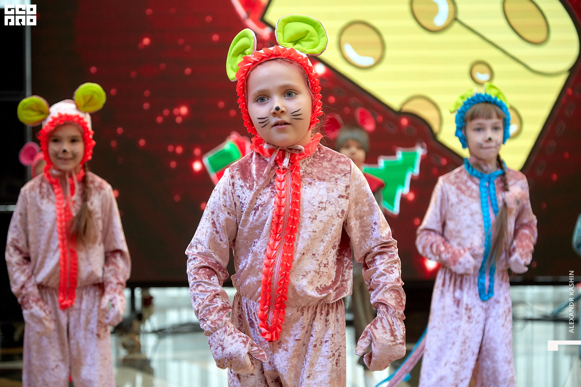 2019-12-21 11-00-00_Kashin_0065.jpg