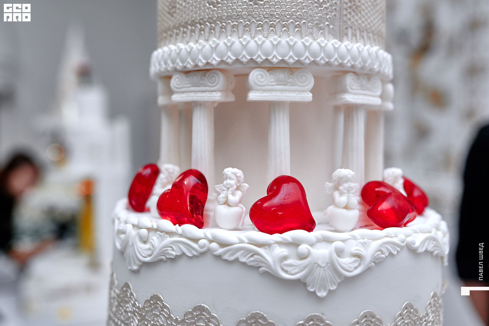 2019-11-24 13-10-00_SHVED_0022.jpg