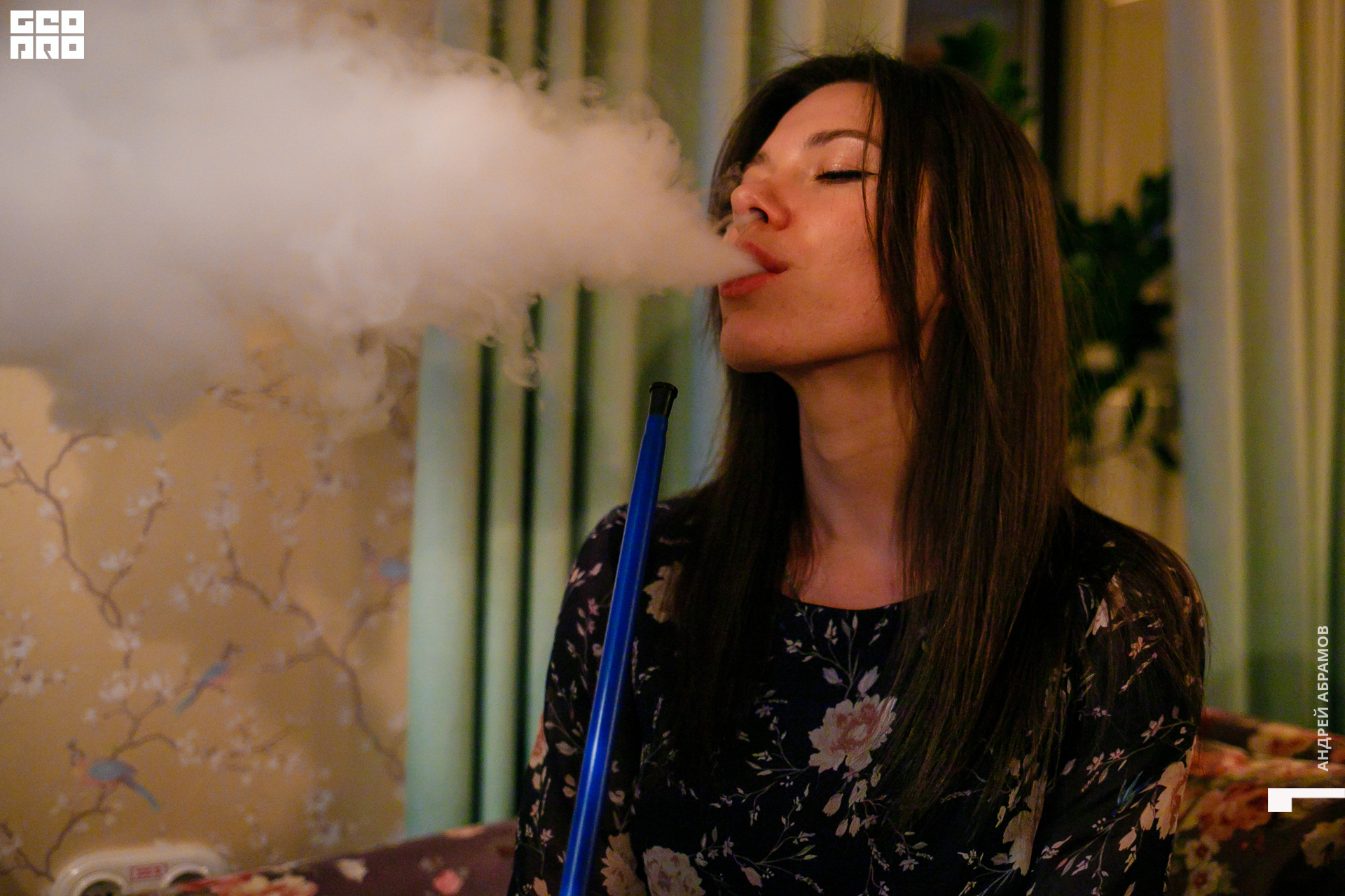 151119 Птичка Абрамов 0020.jpg