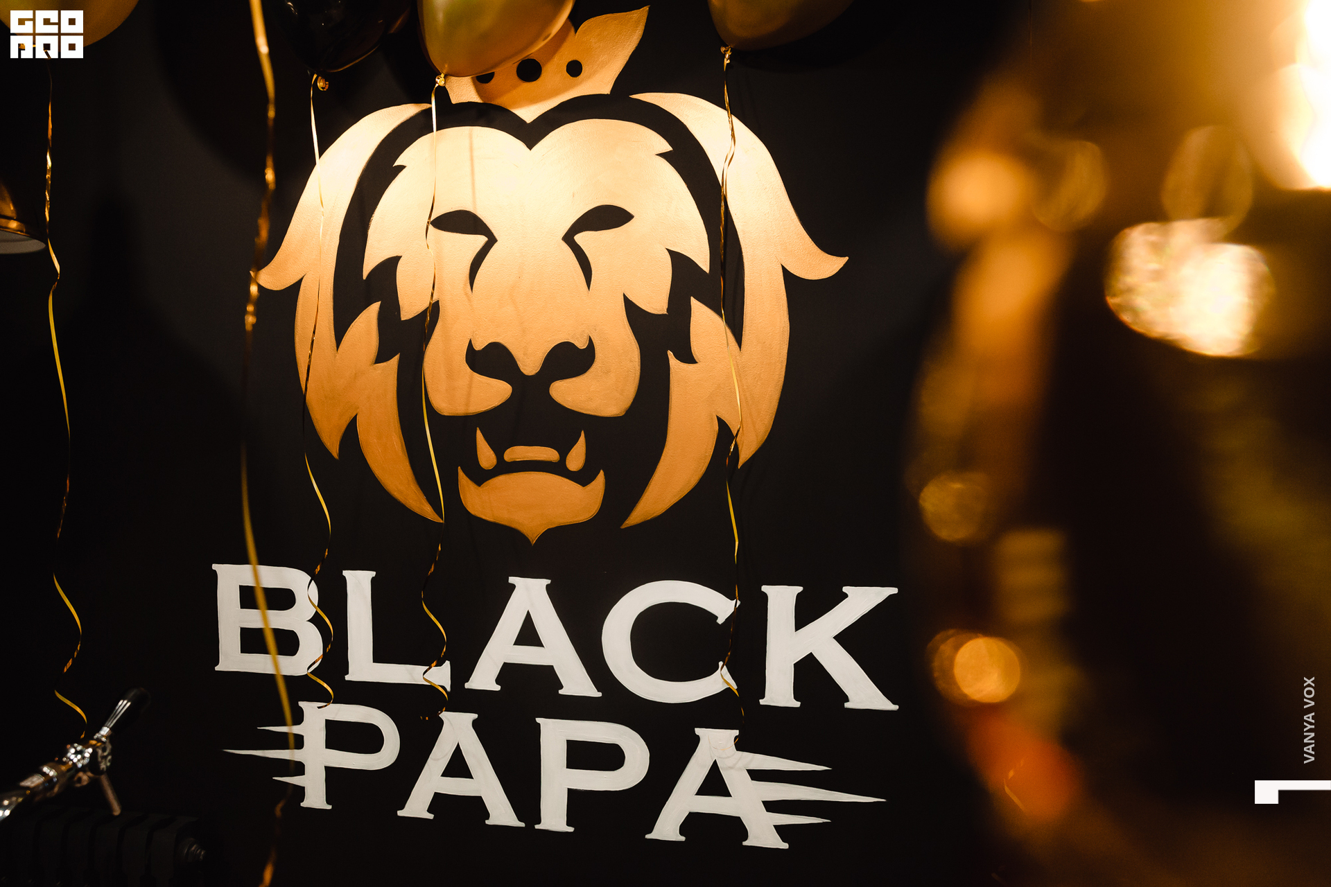 2020-02-03 19-00-00_vox_002.jpg