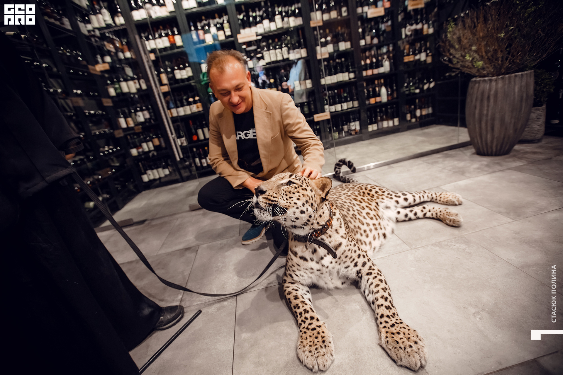 кино вино и домино - 176.jpg