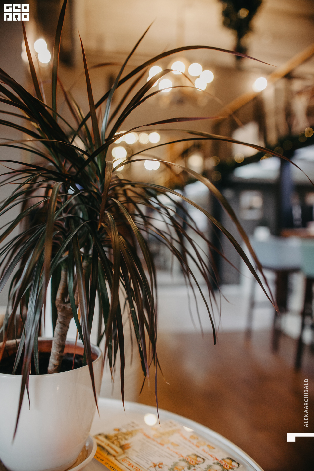 2019-12-07 13-00-45_alenaarchibald_0016.jpg