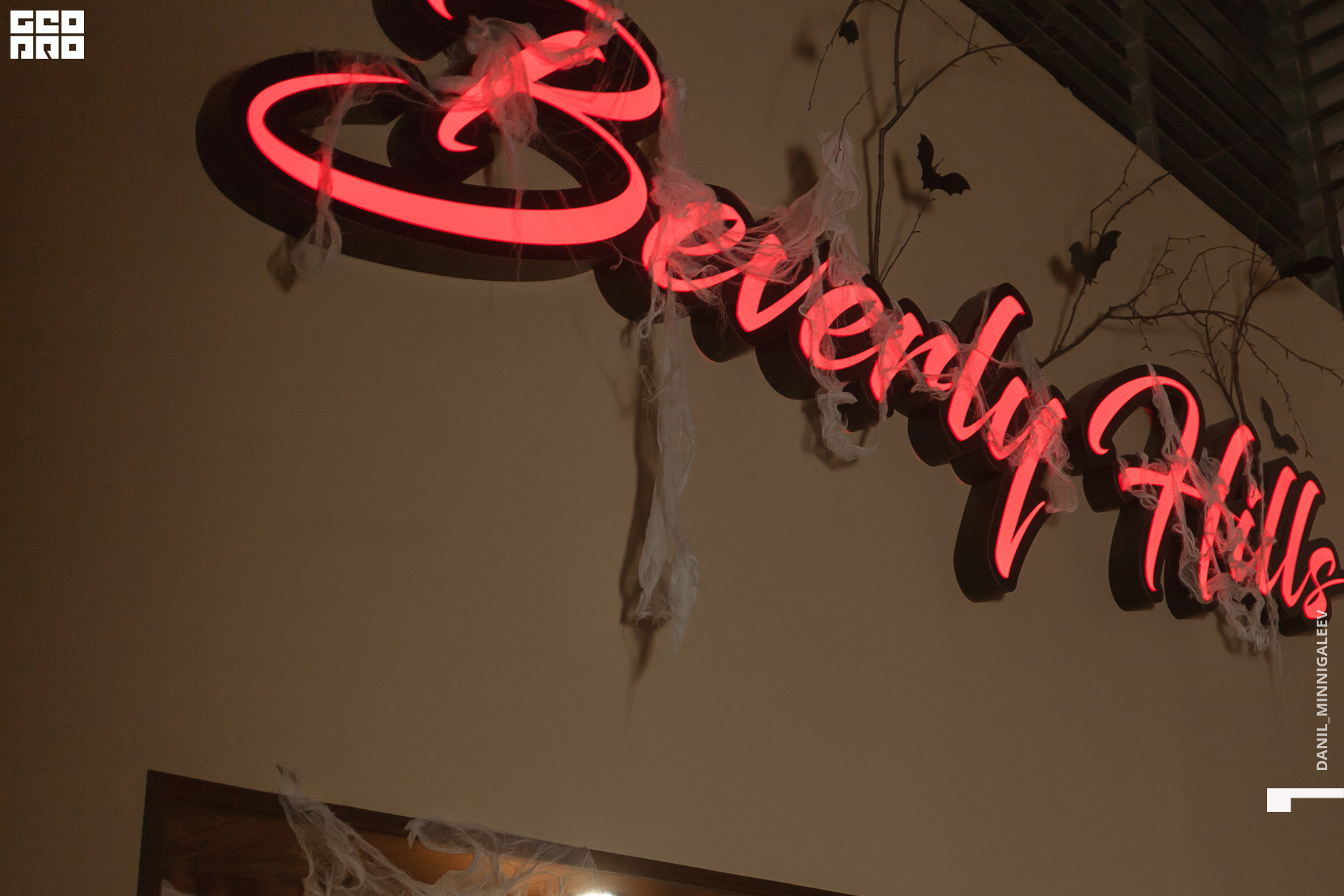 фотография 1 -31.jpg