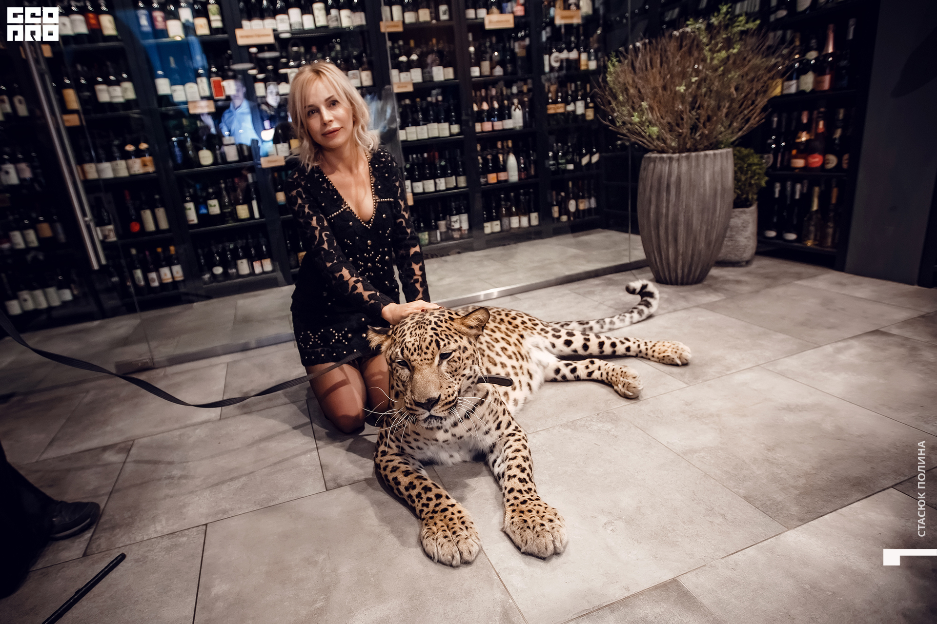 кино вино и домино - 187.jpg