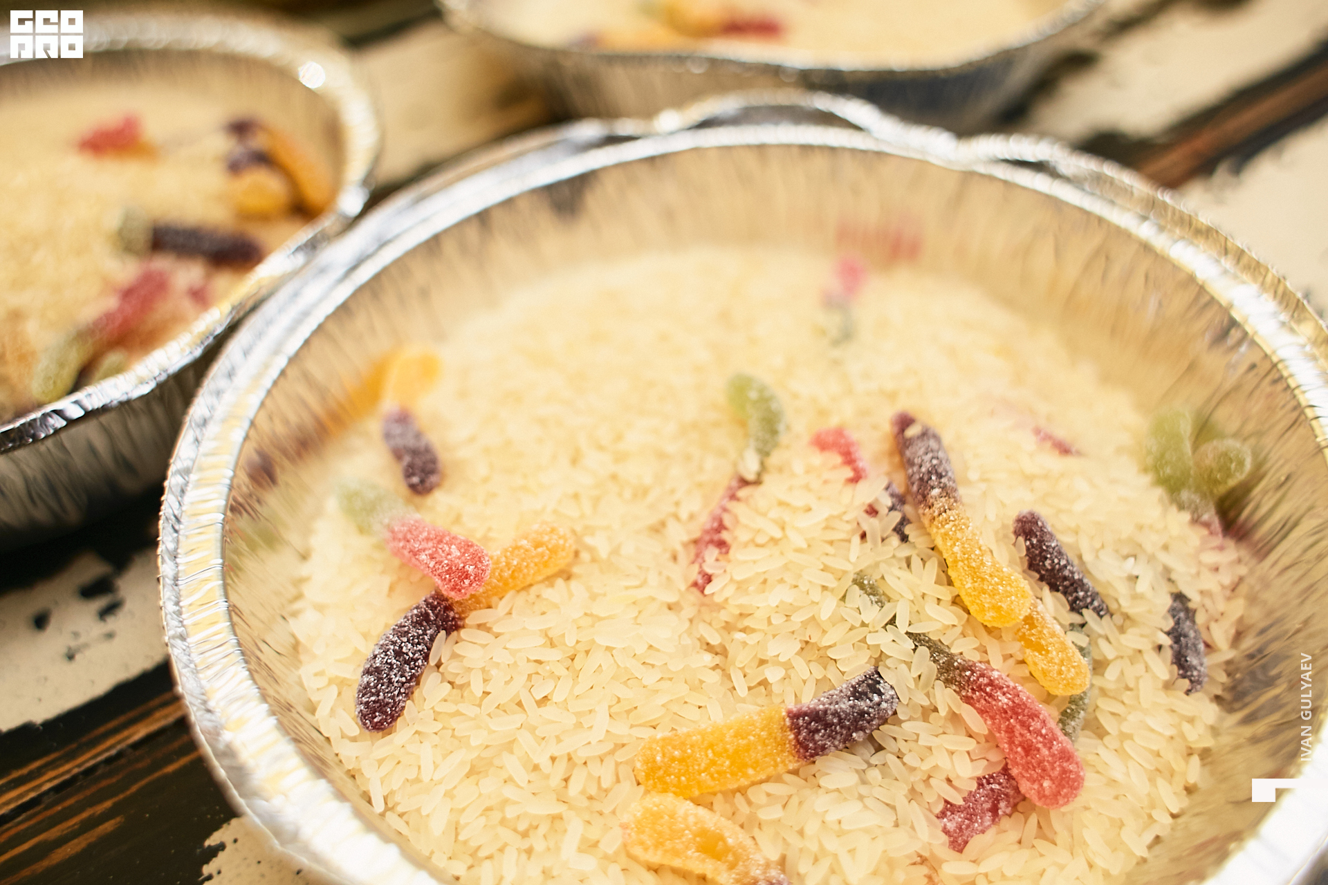 0040 _02112019_103623_Gulyaev.jpg