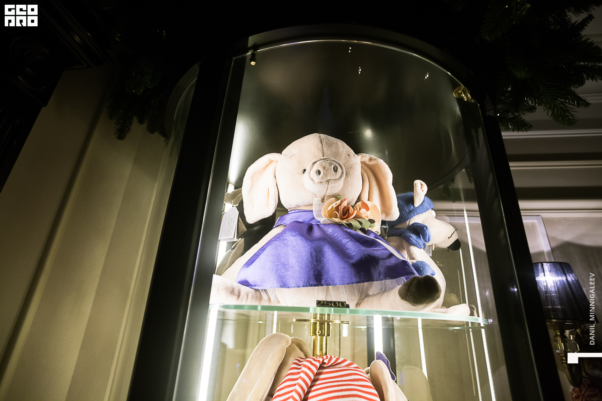 фотография 1 -20.jpg