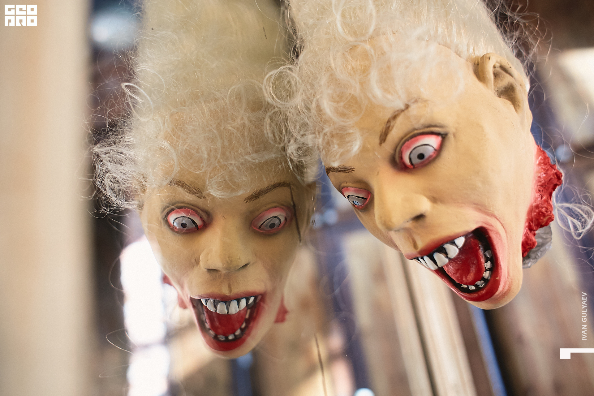 0015 _02112019_113239_Gulyaev.jpg