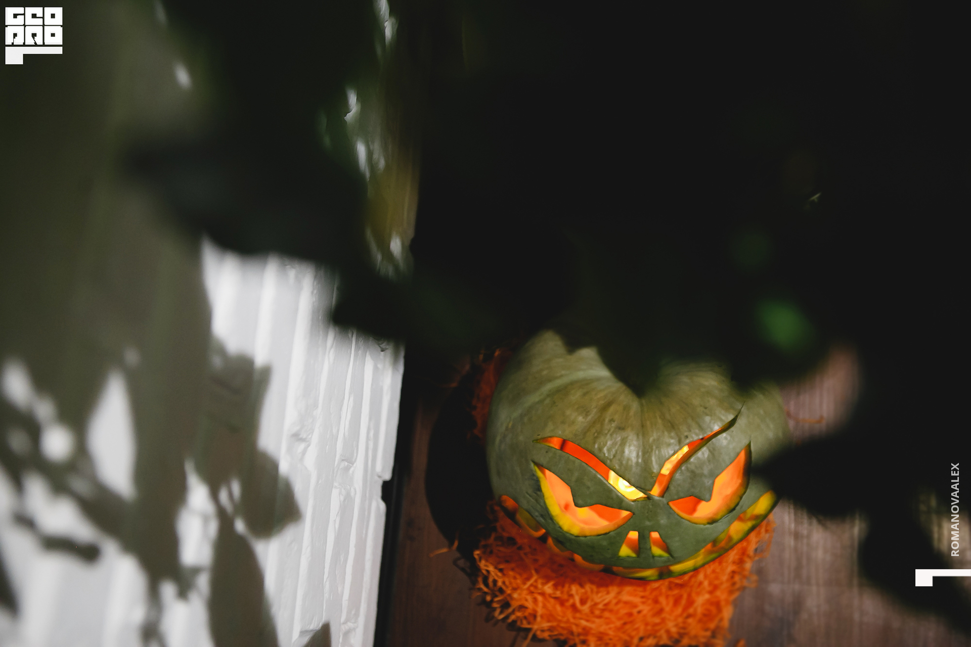 112 201031 213402 _Романова.jpg