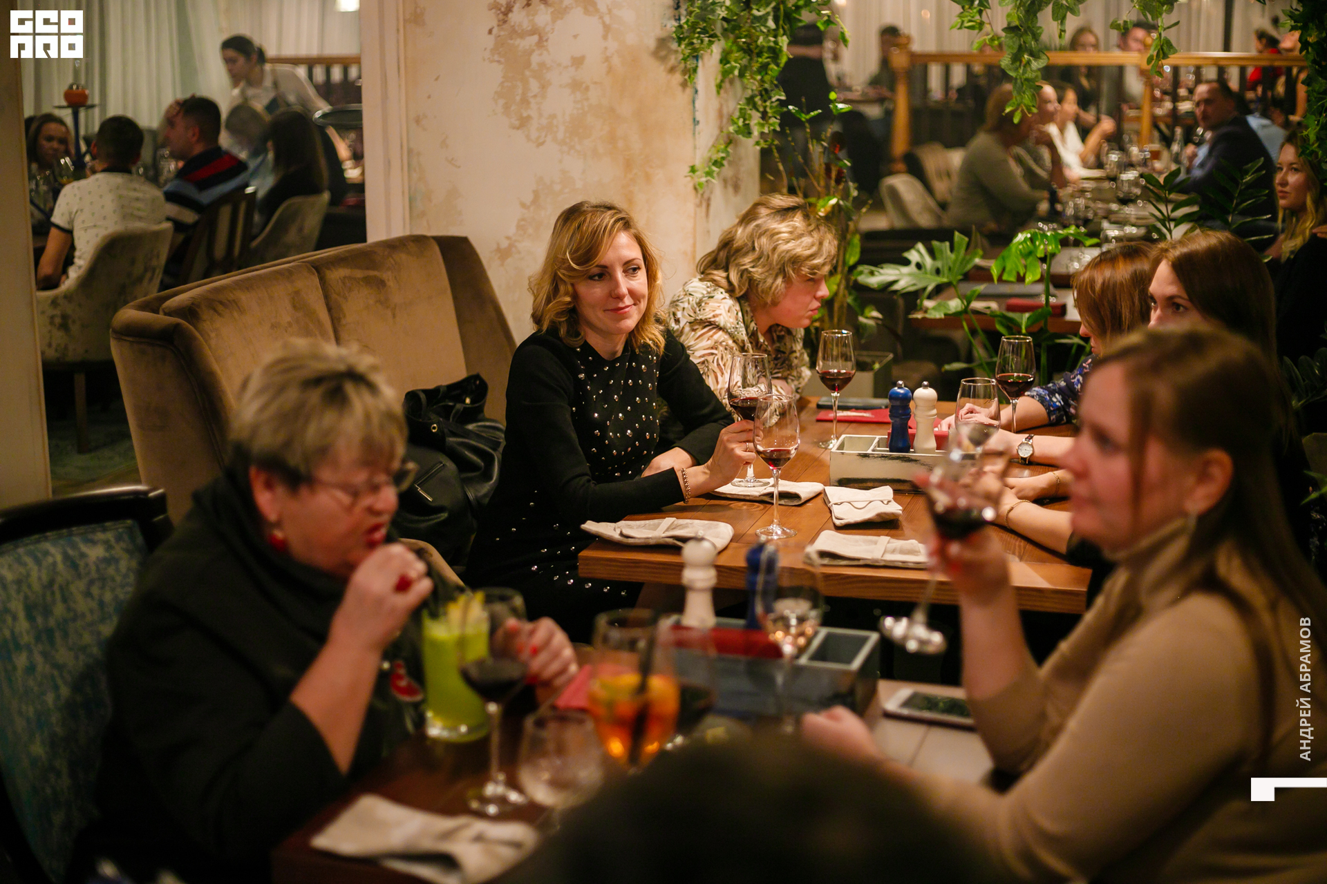 241019 Гастроужин Птичка0091.jpg