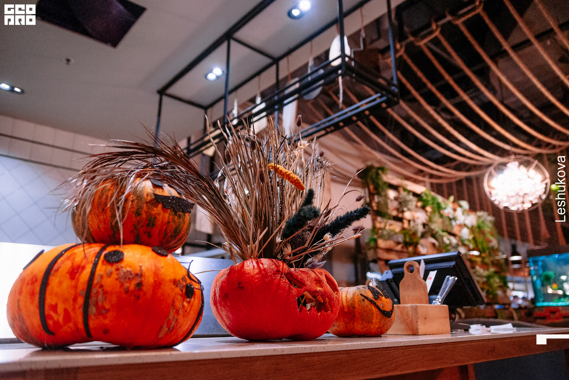 081_мистер чанг.jpg