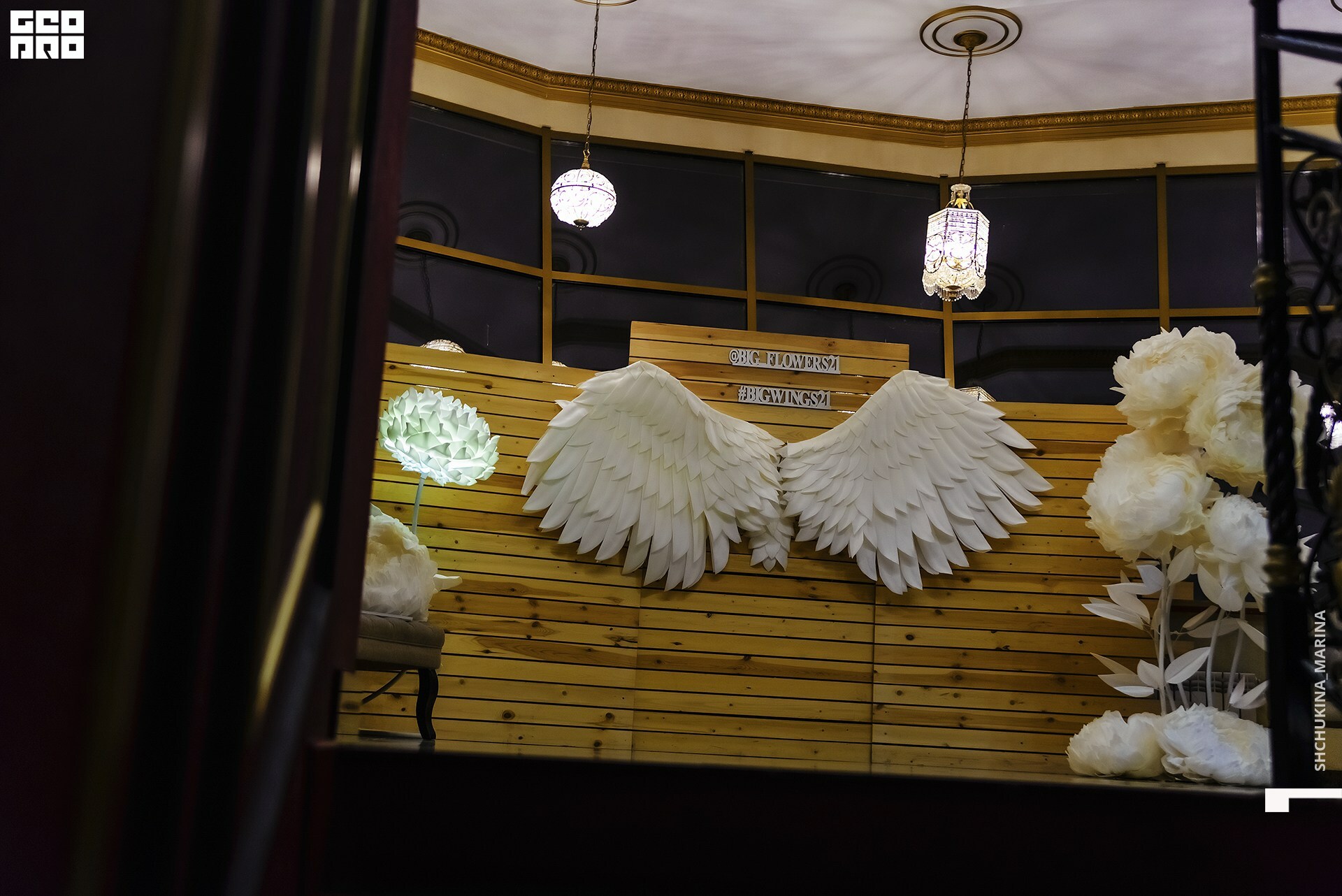 03.11.2019 цвет-262.jpg