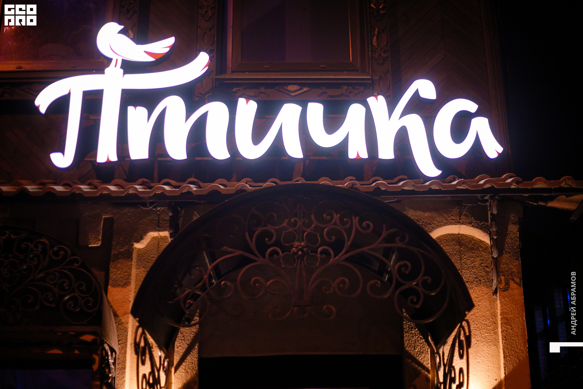 081119 Птичка Абрамов 0076.jpg