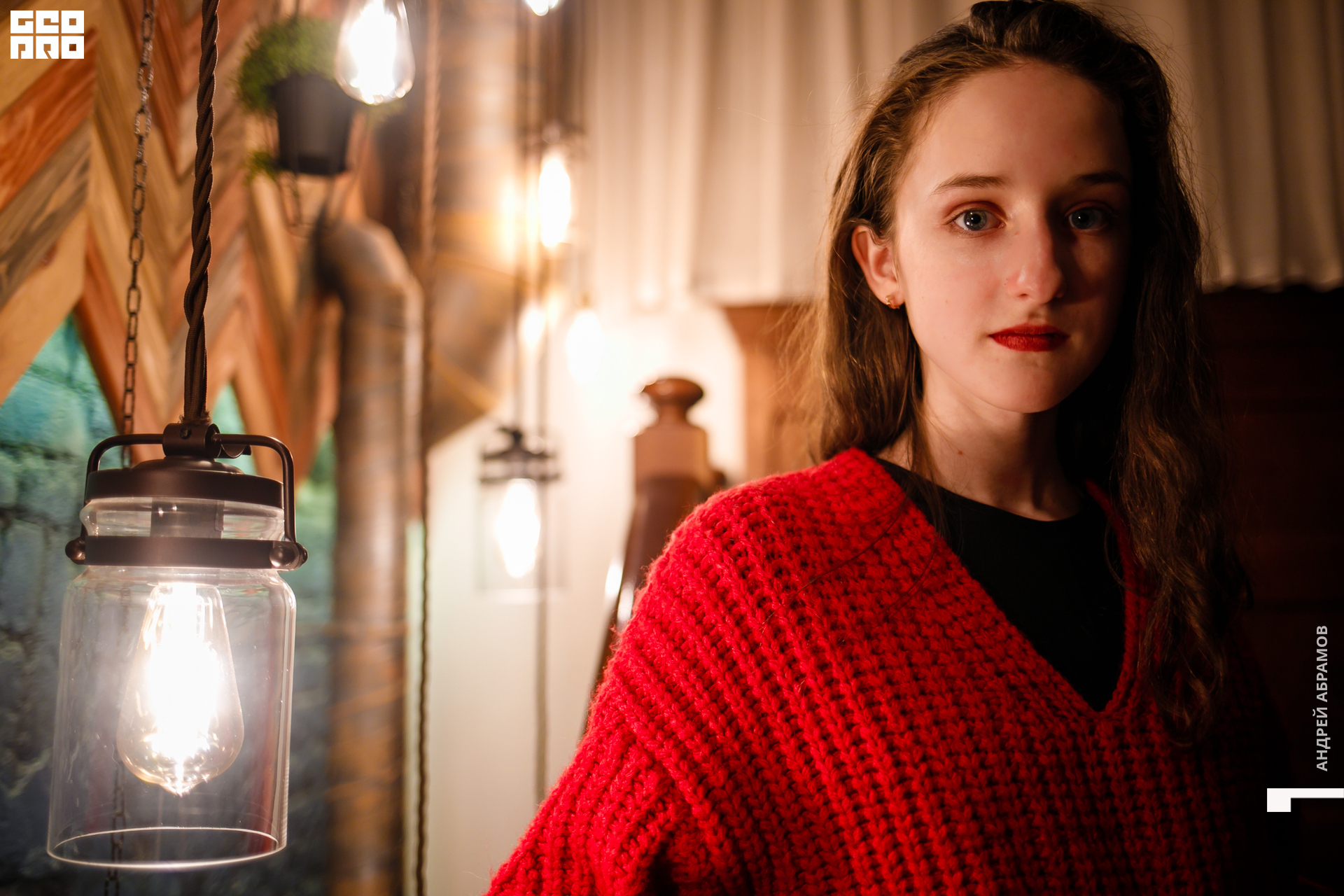 061219 Птичка Абрамов  0023.jpg