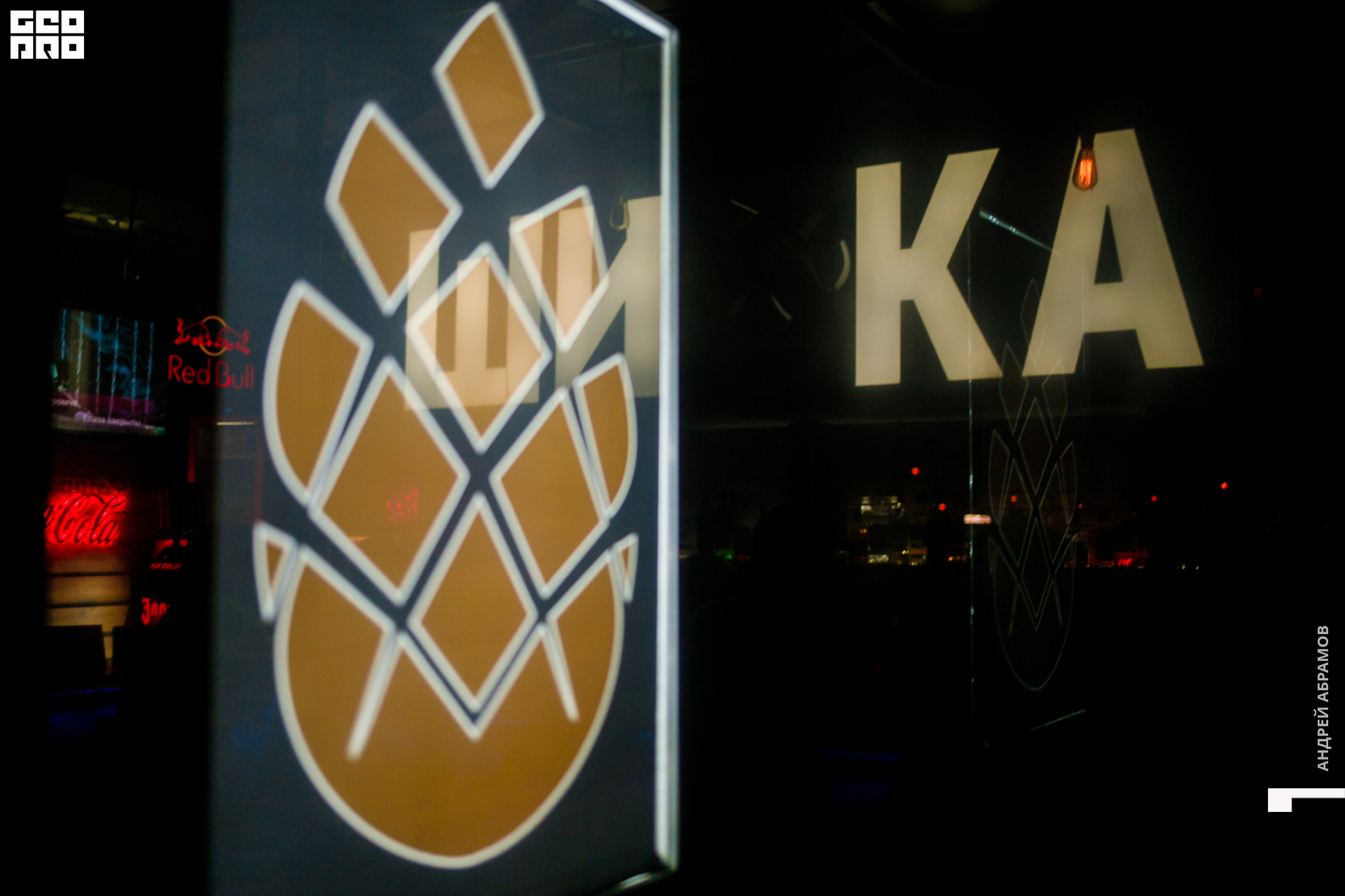 231119 Шишка Абрамов 0039.jpg