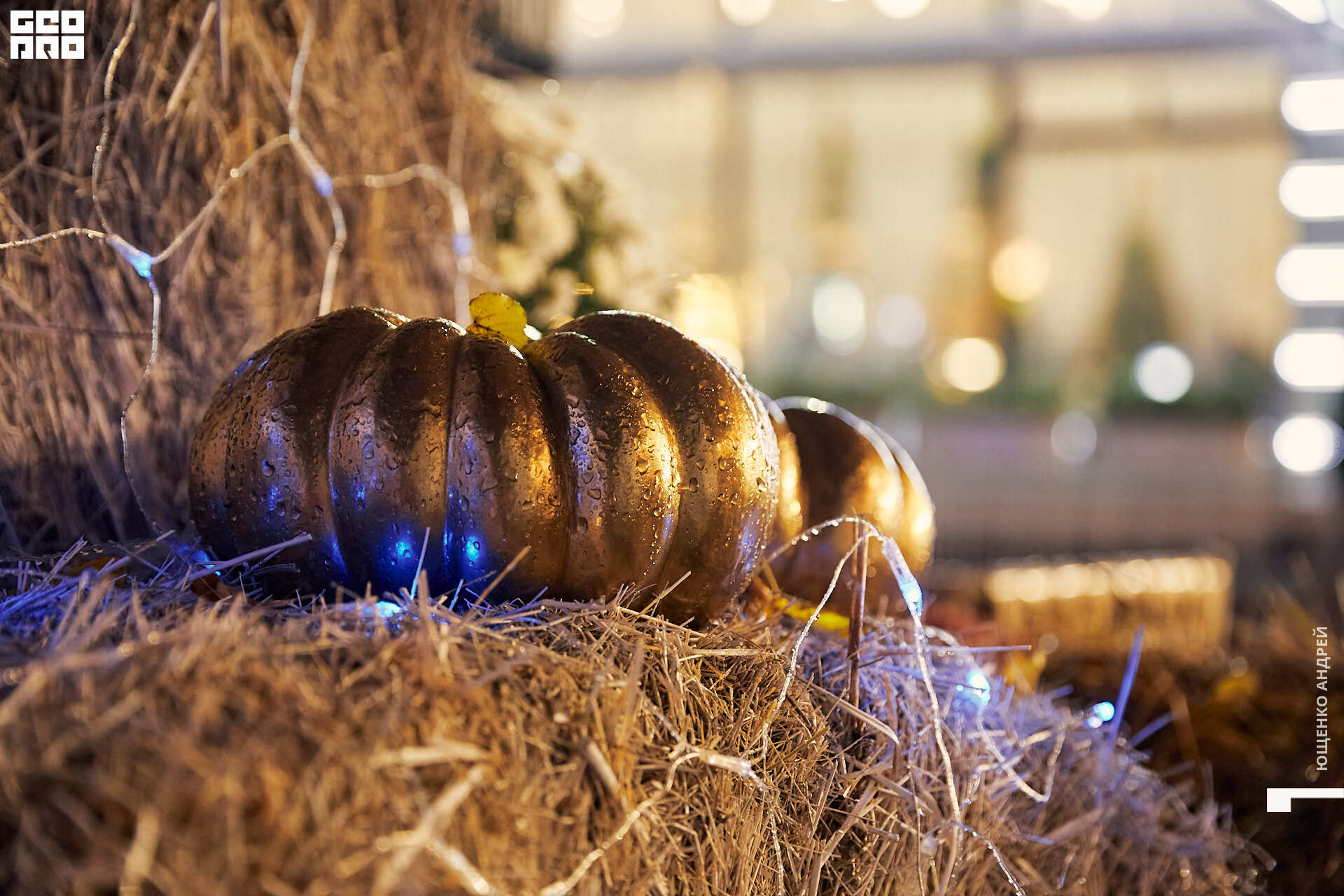 087 IMG_3039  FHD.jpg