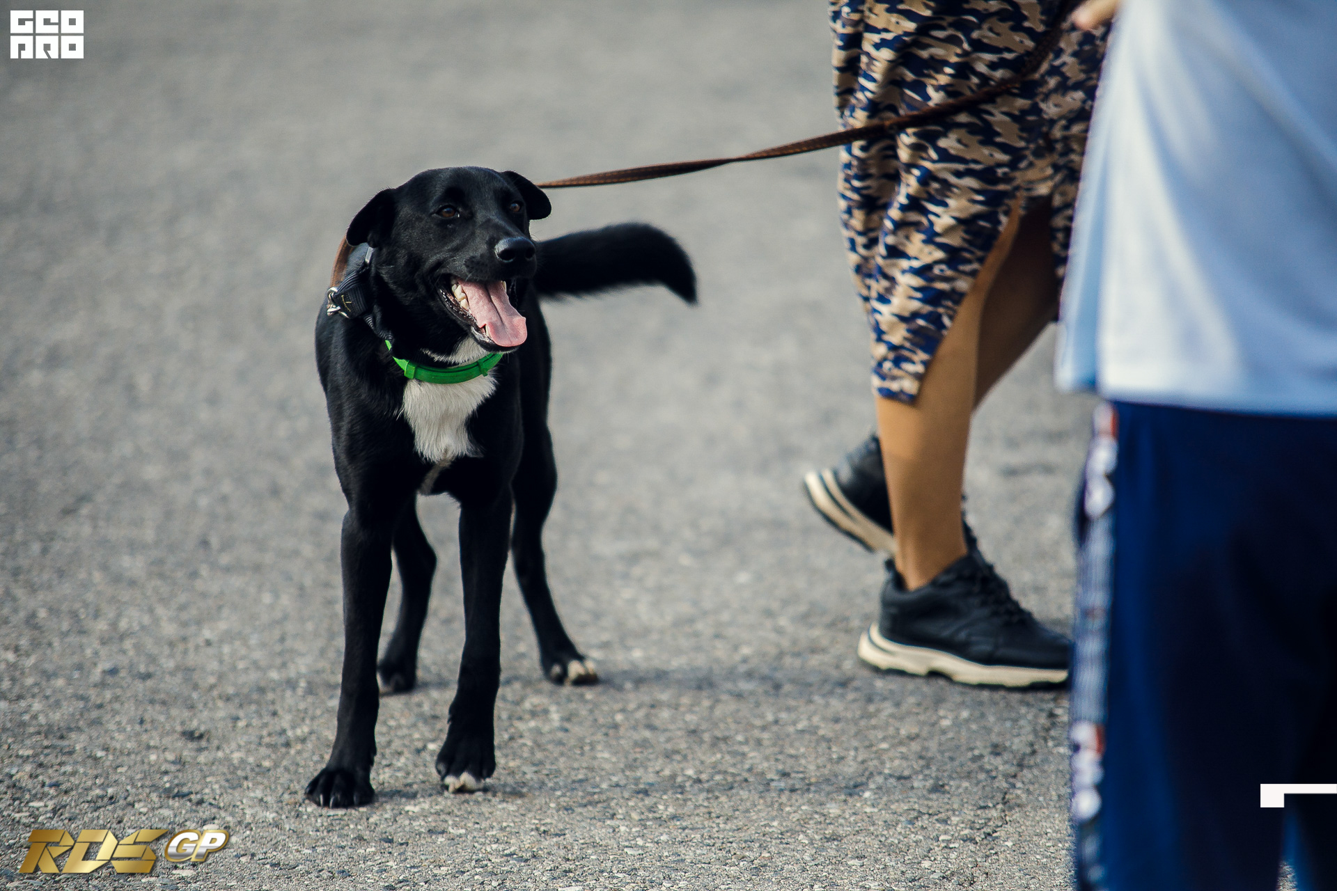 027-2019-10-18-16-25-05-18-20.10.19 - RDS GP - Mikhailov.JPG