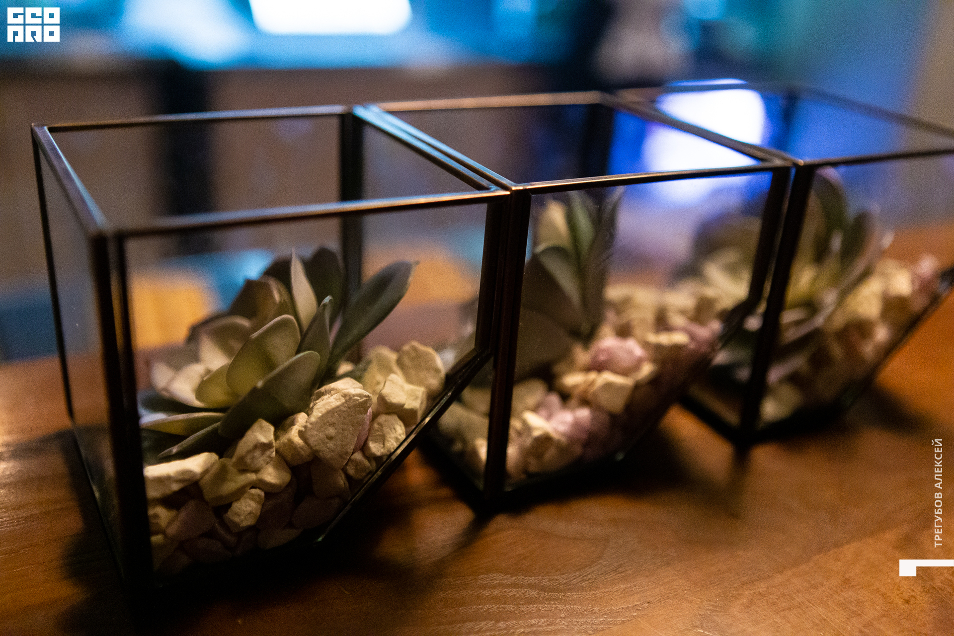 geoprovlg (21 of 125).jpg