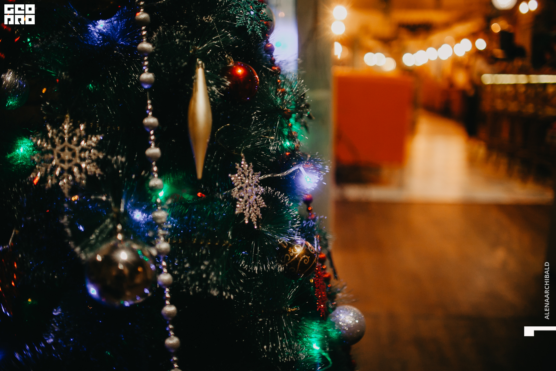 2019-11-29 20-00-26_alenaarchibald_0002.jpg