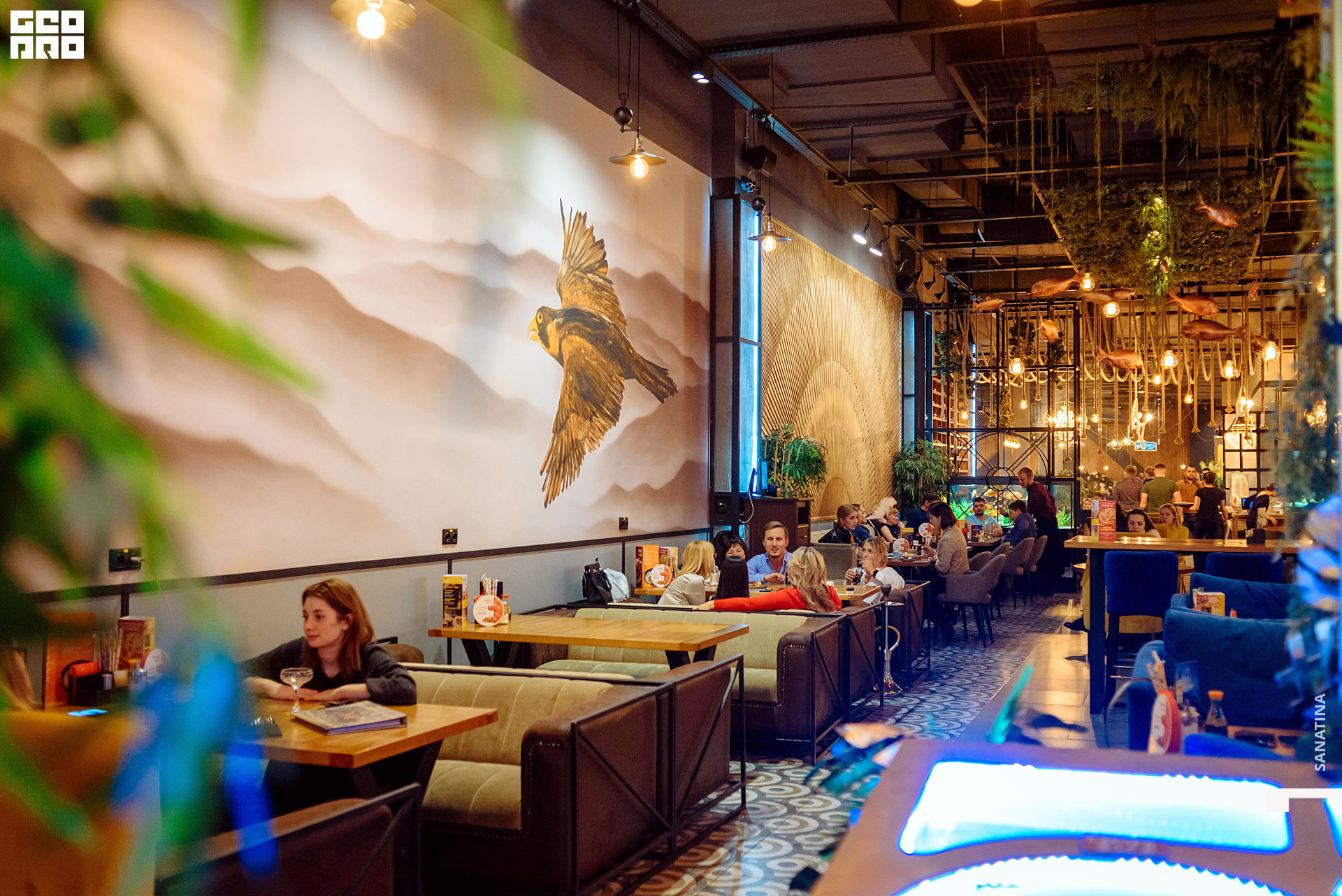 0007-2019-11-01-22-12-07 - Sanatina.jpg