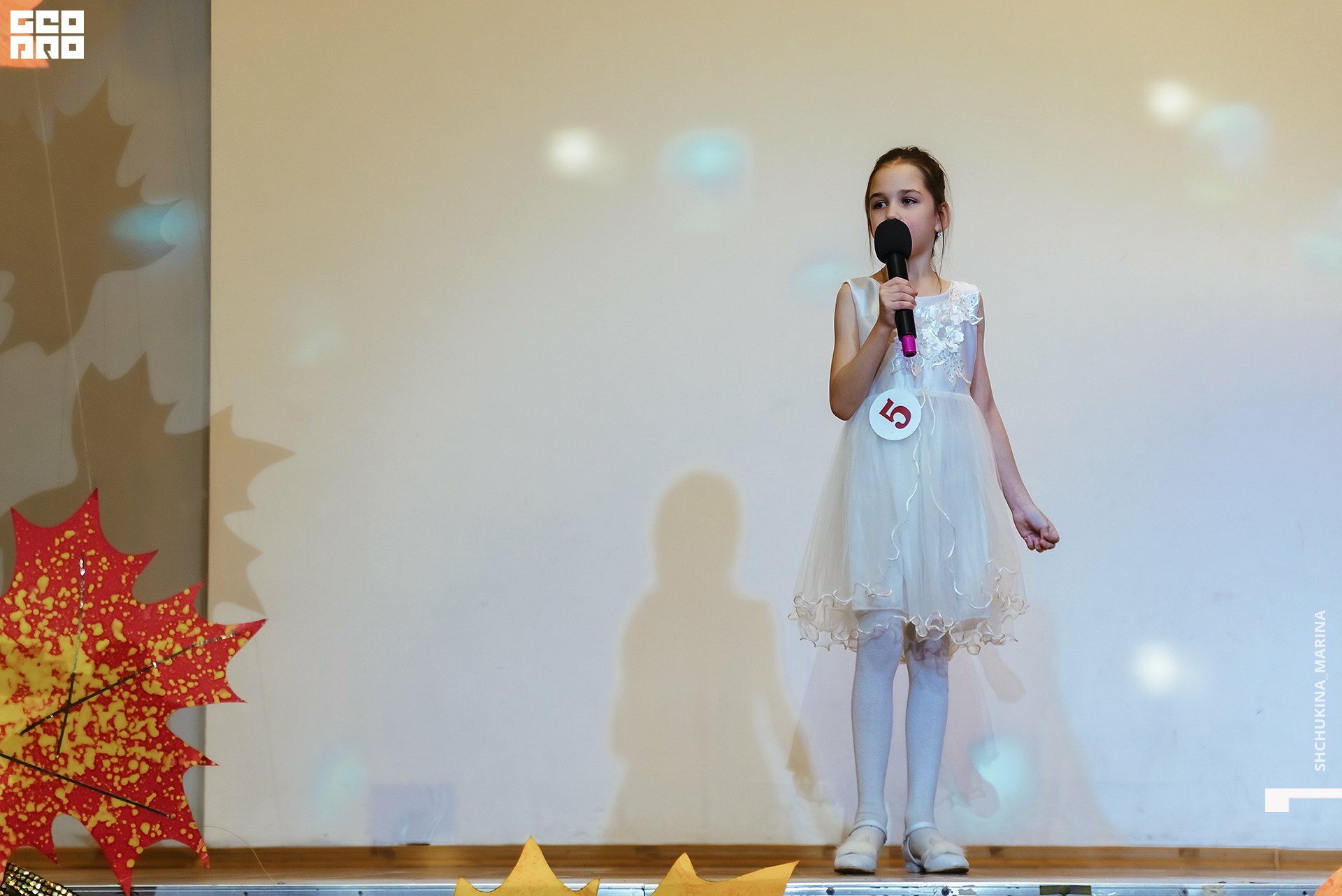 11.11.2019 мисс талант-99.jpg