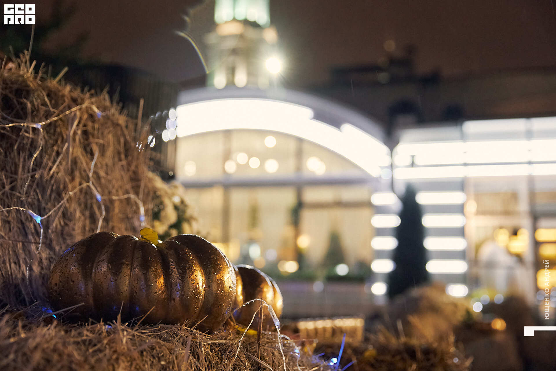 003 IMG_3030  FHD.jpg