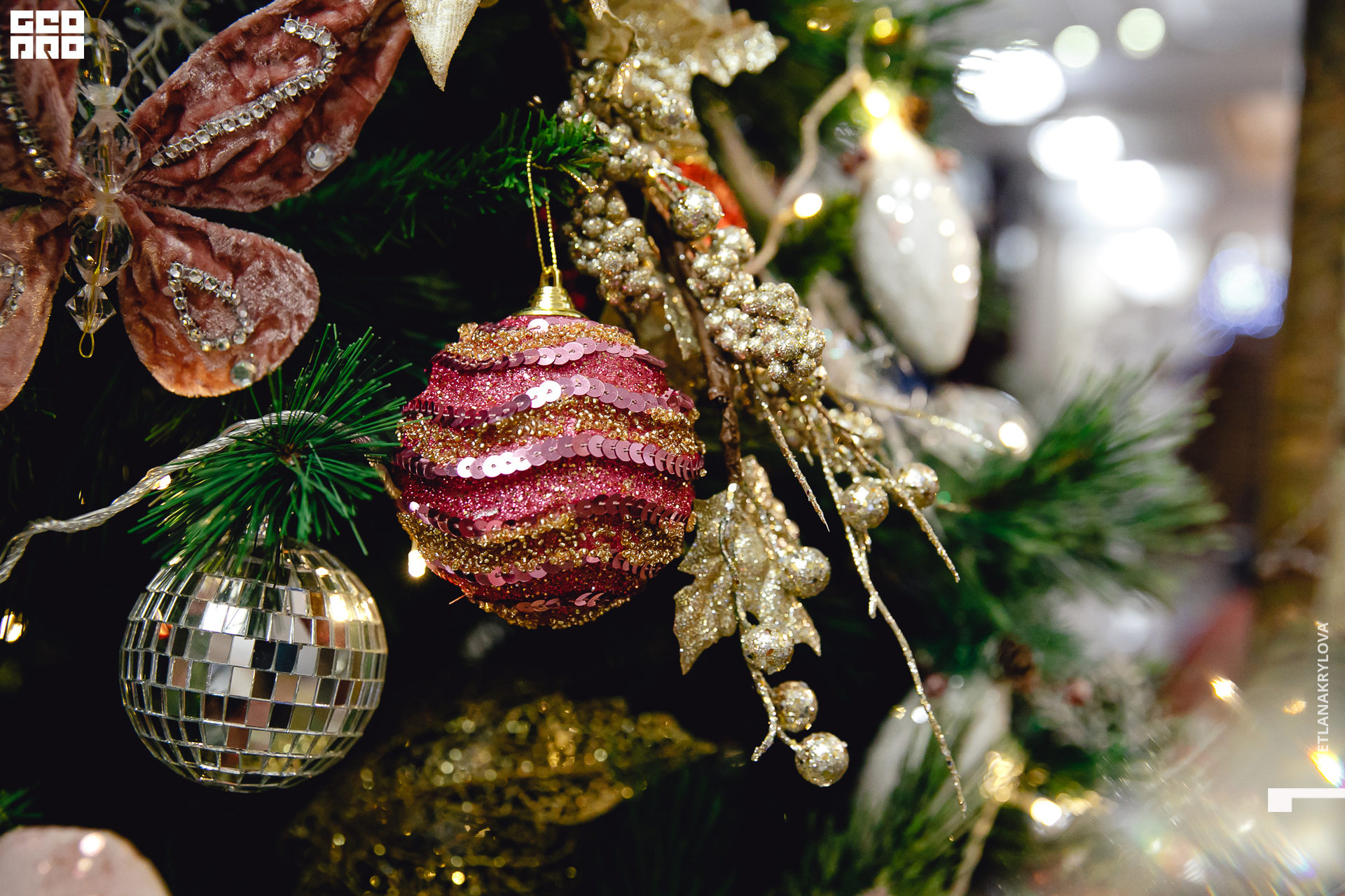 2019-12-22 16-00-00 Krylova_0275.jpg