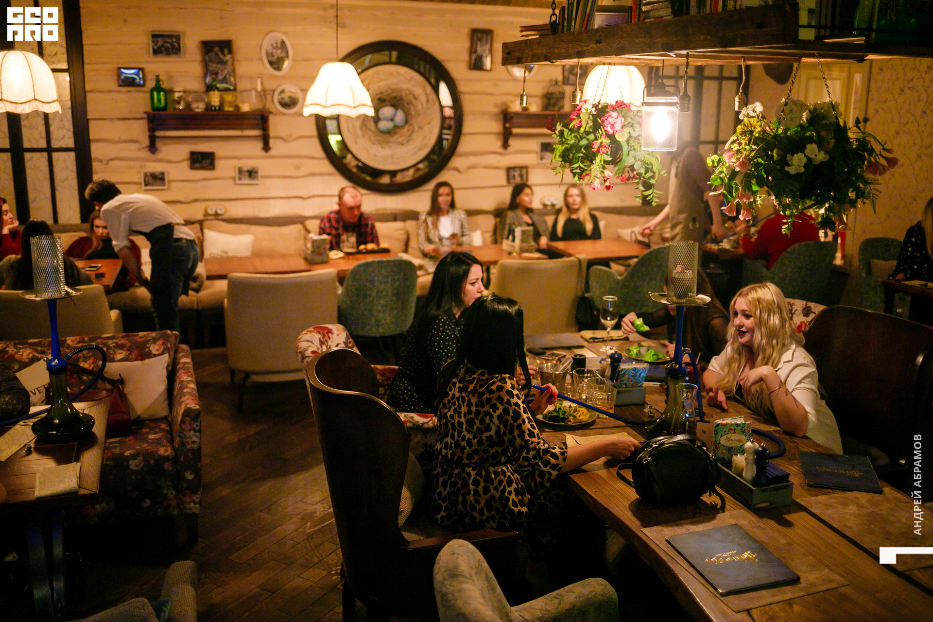 111019 Птичка Абрамов0002.jpg