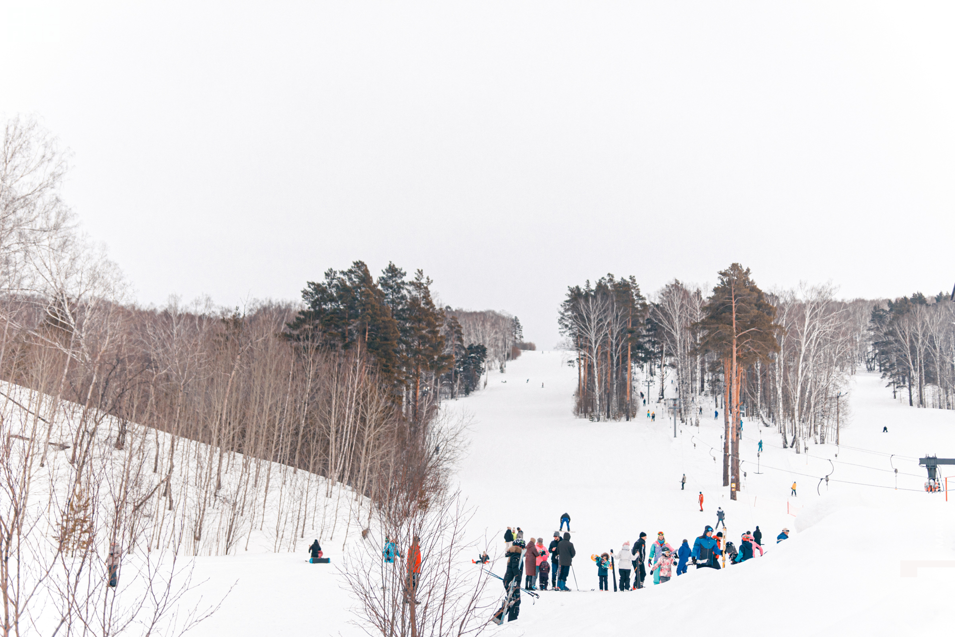 Лесная Республика 08.02.2020_00073.jpg