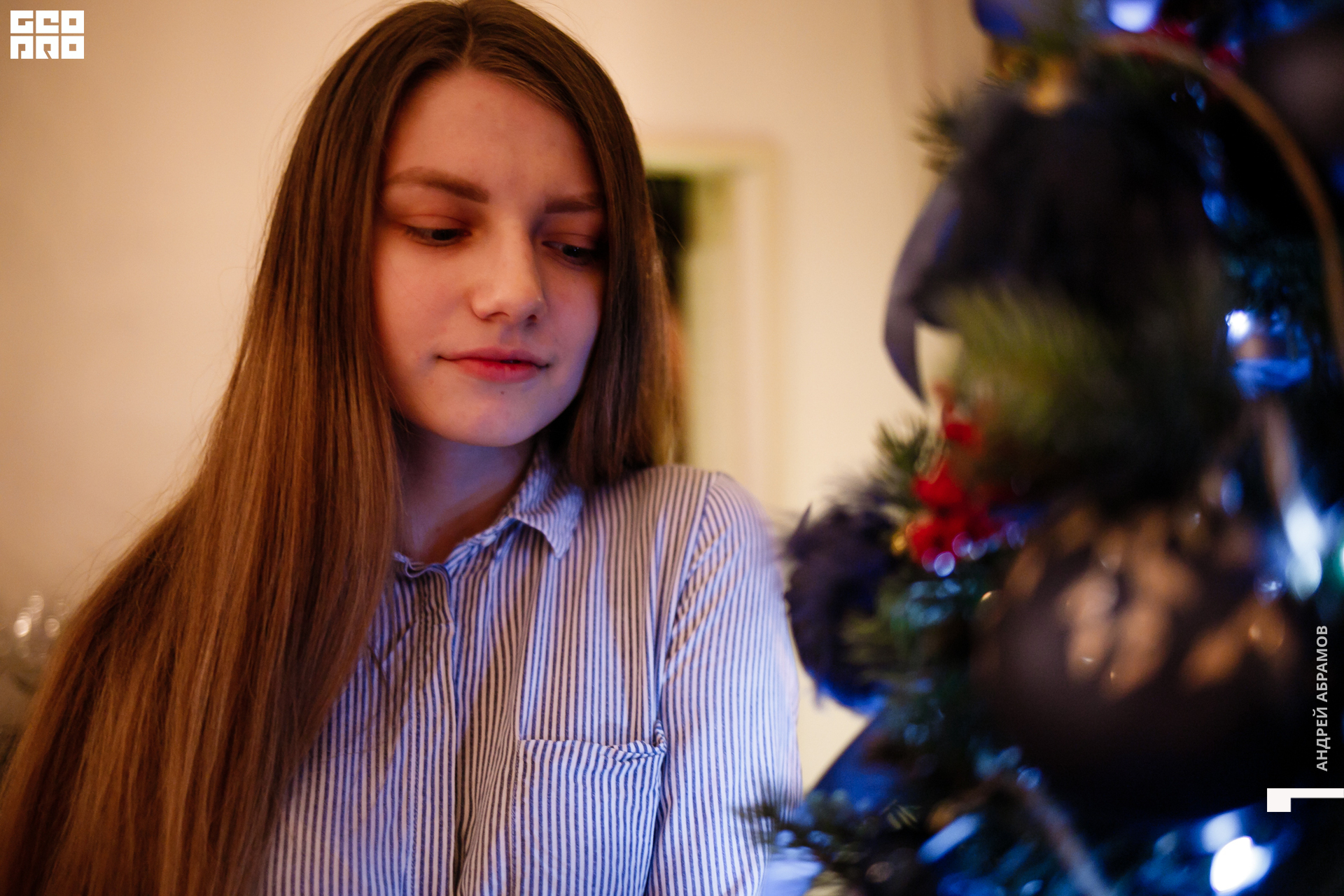 061219 Птичка Абрамов  0062.jpg