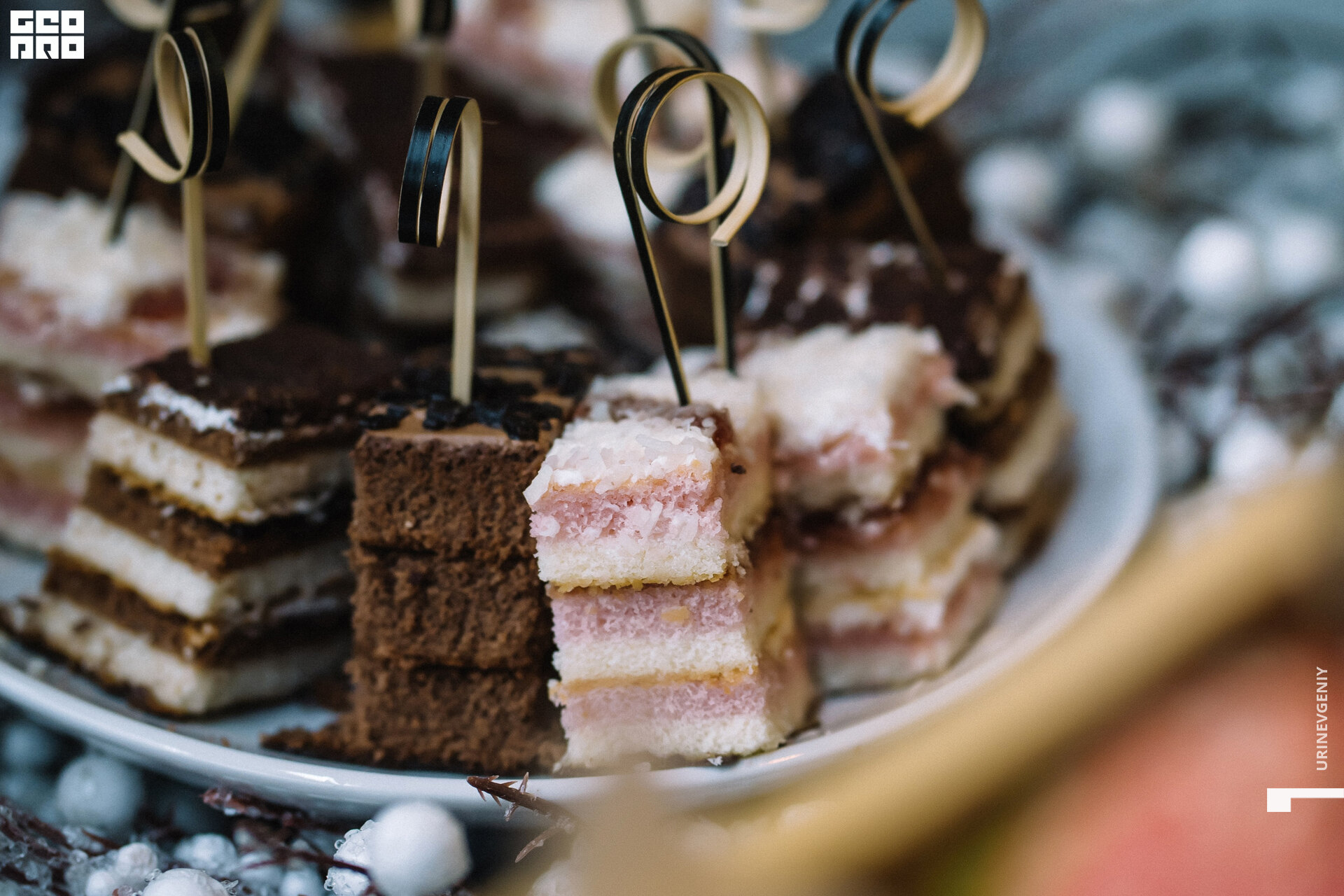 29.11. octagon fit (7).jpg