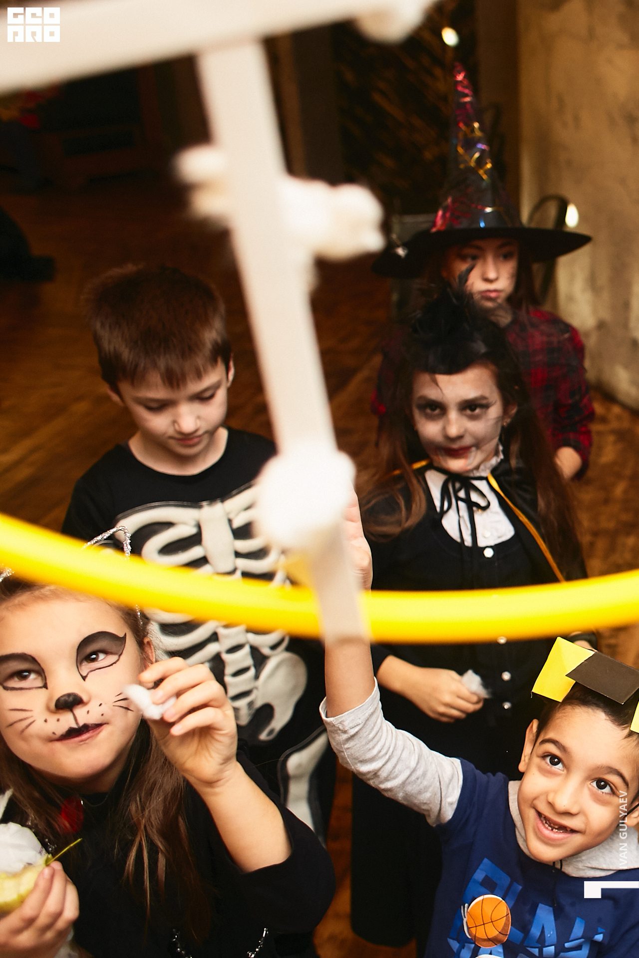 0103 _02112019_111617_Gulyaev.jpg