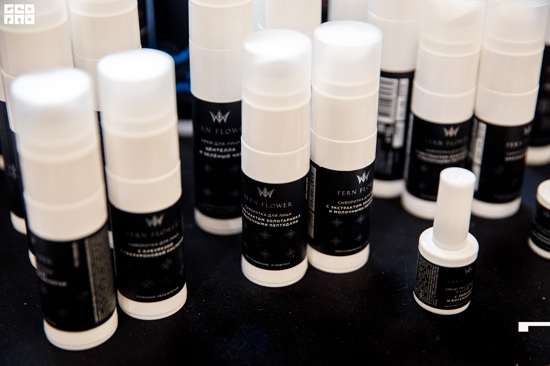 untitled (39-1 of 146).jpg