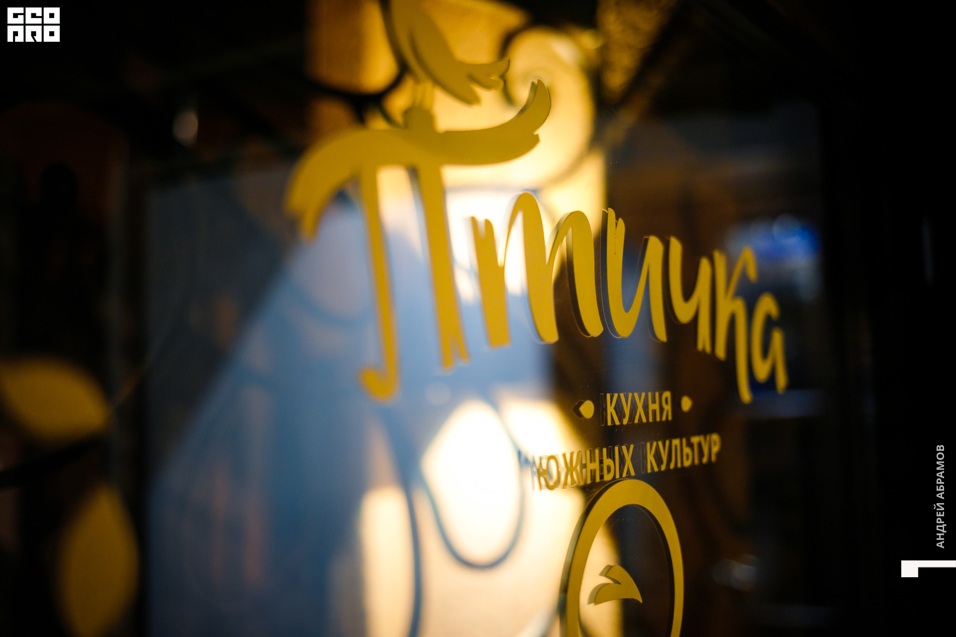 081119 Птичка Абрамов 0001.jpg