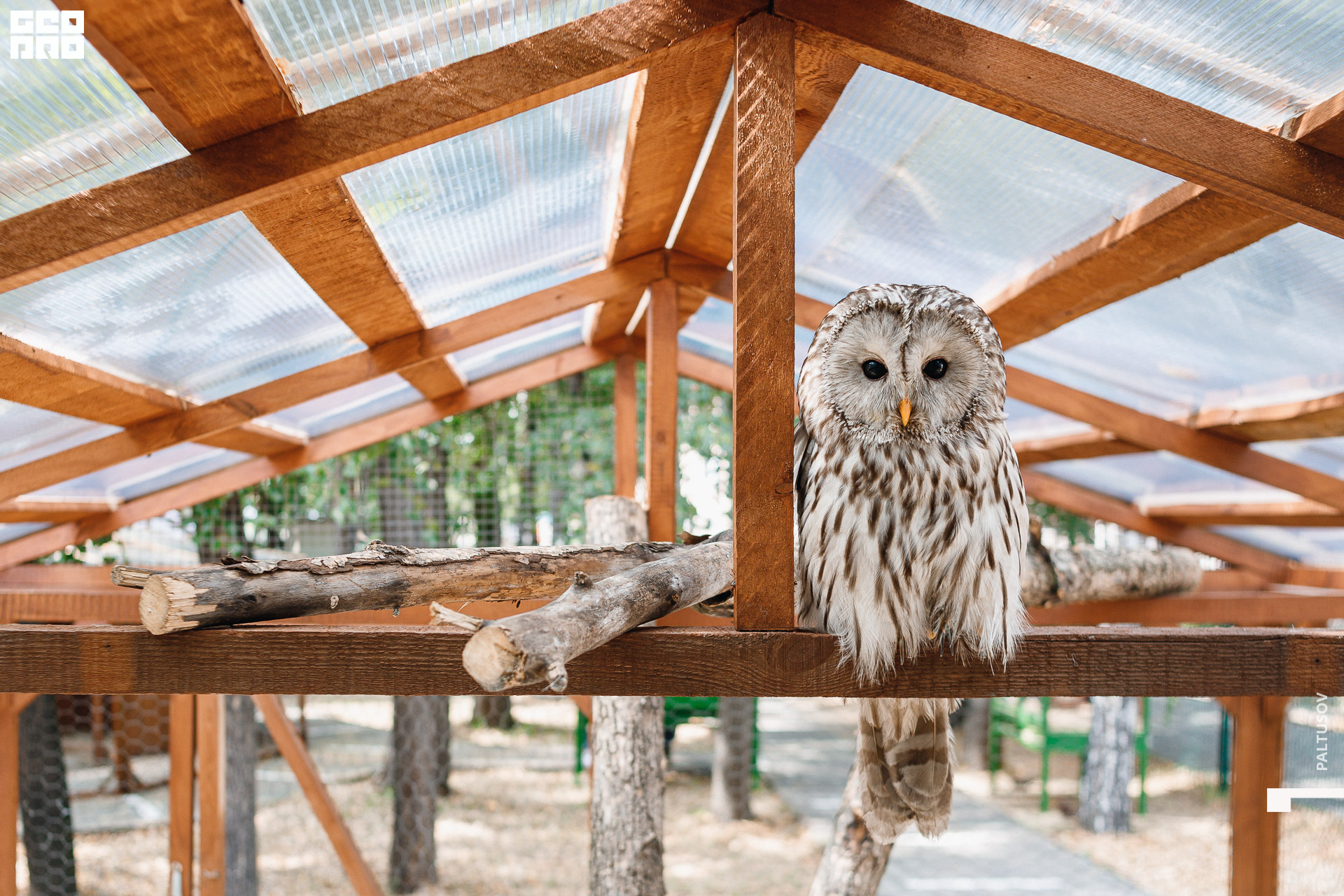 015-2020-07-25-15-51-07 - Paltusov.jpg