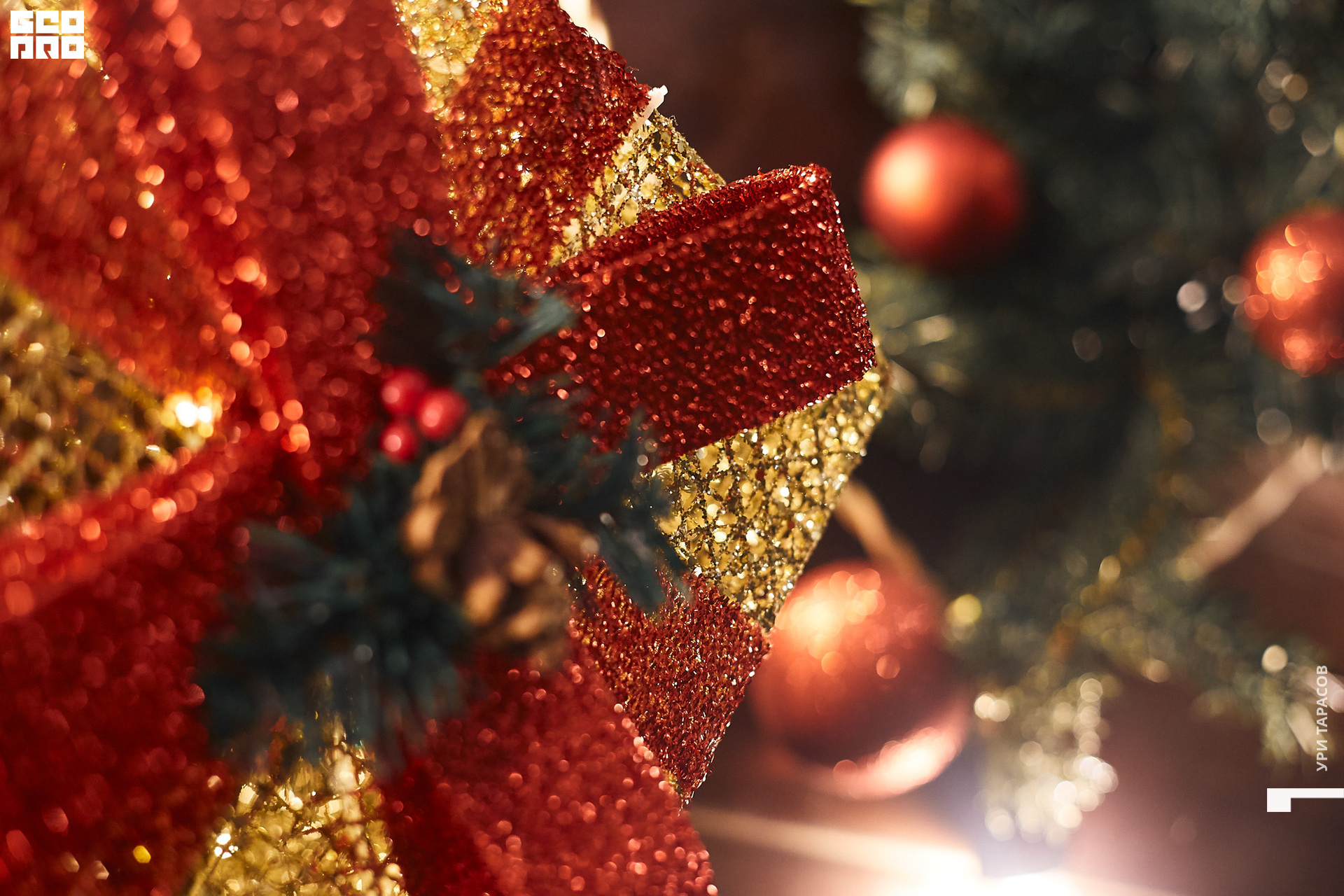 133 191229_221937_uri_0133.jpg