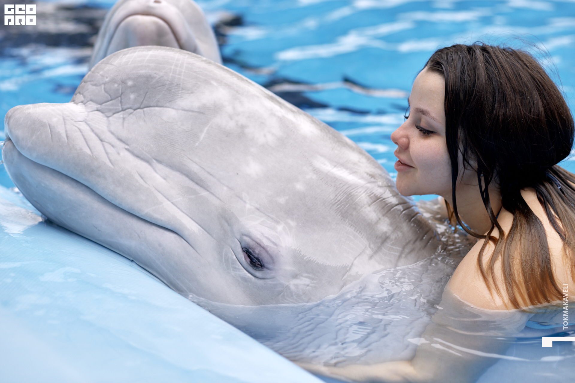 tokmakaveli 1494.jpg