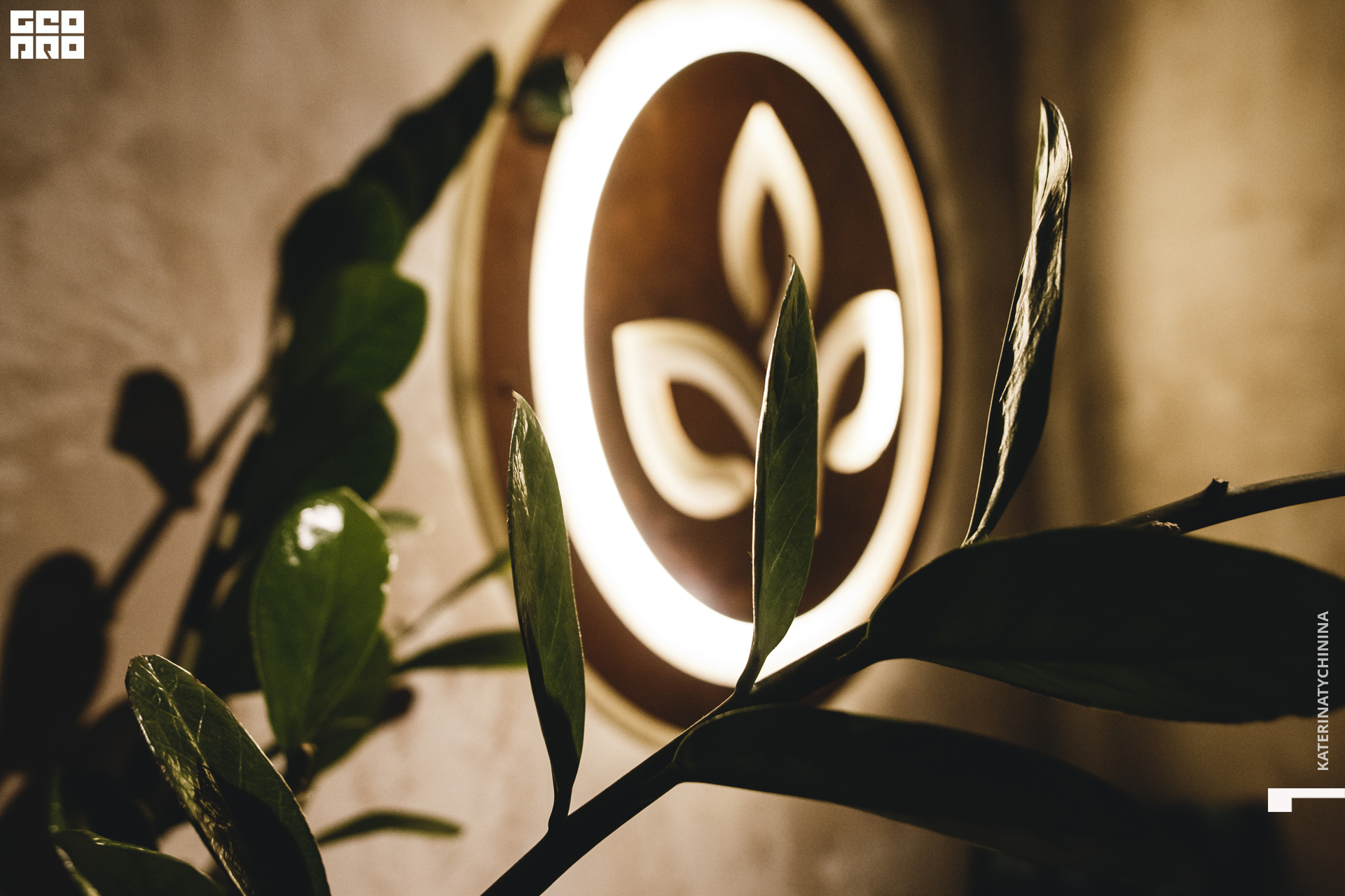 2019-12-26 20-00-00_Tychinina_0002.jpg