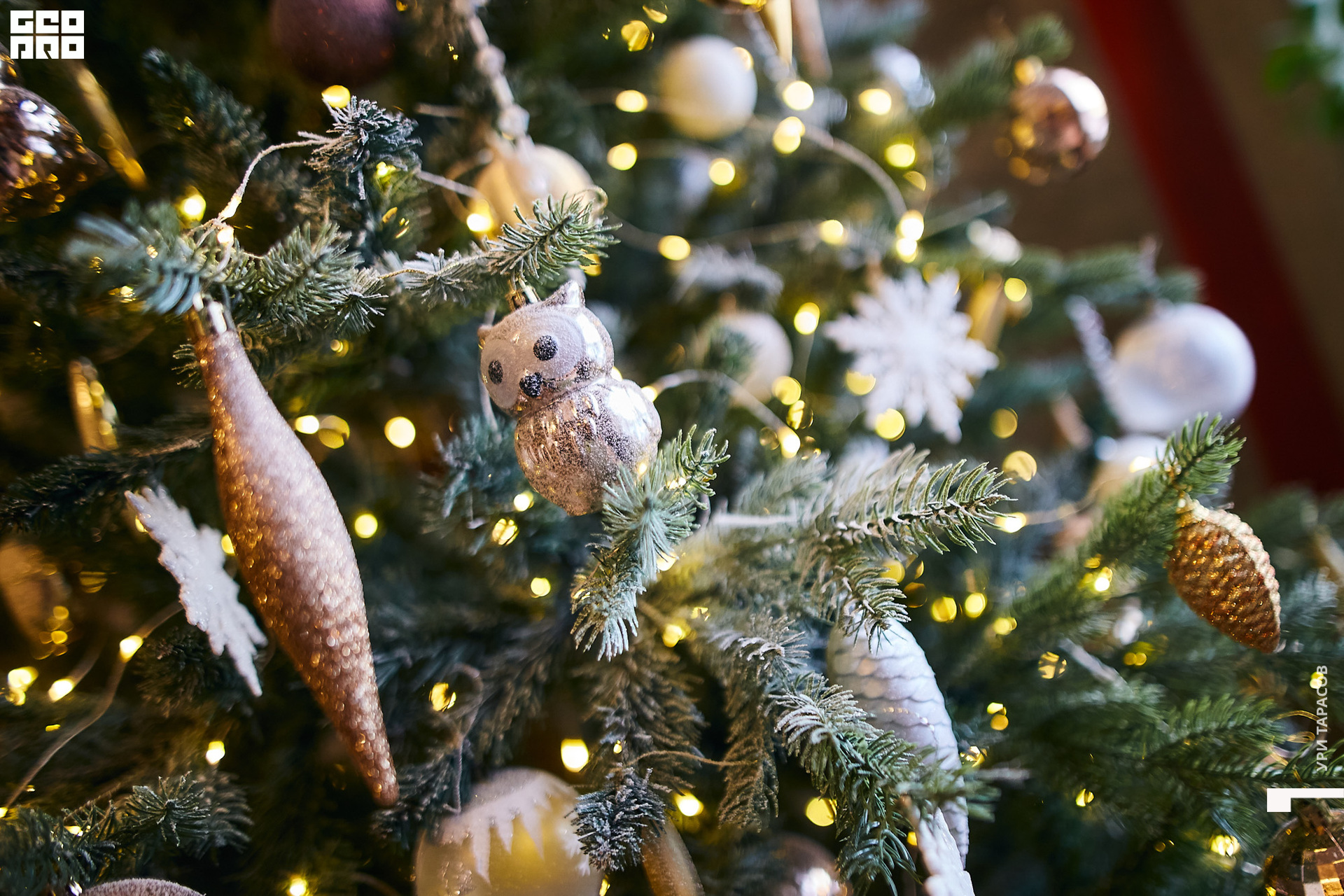 015 191222_113831_uri_0015.jpg